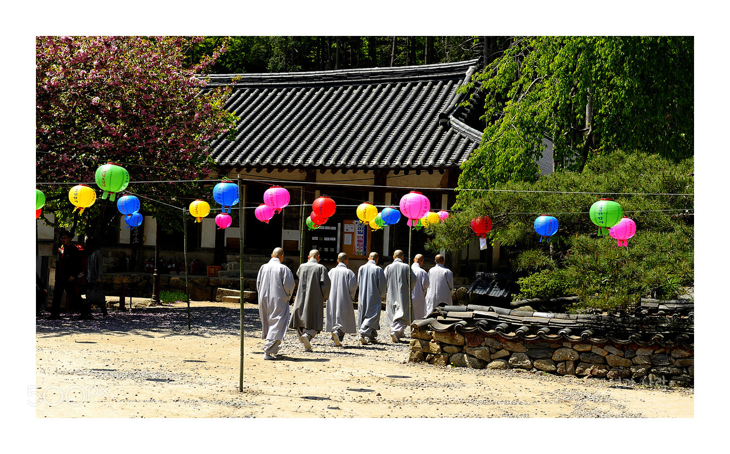 Nikon AF-S Nikkor 24-70mm F2.8G ED sample photo. In seonunsa photography