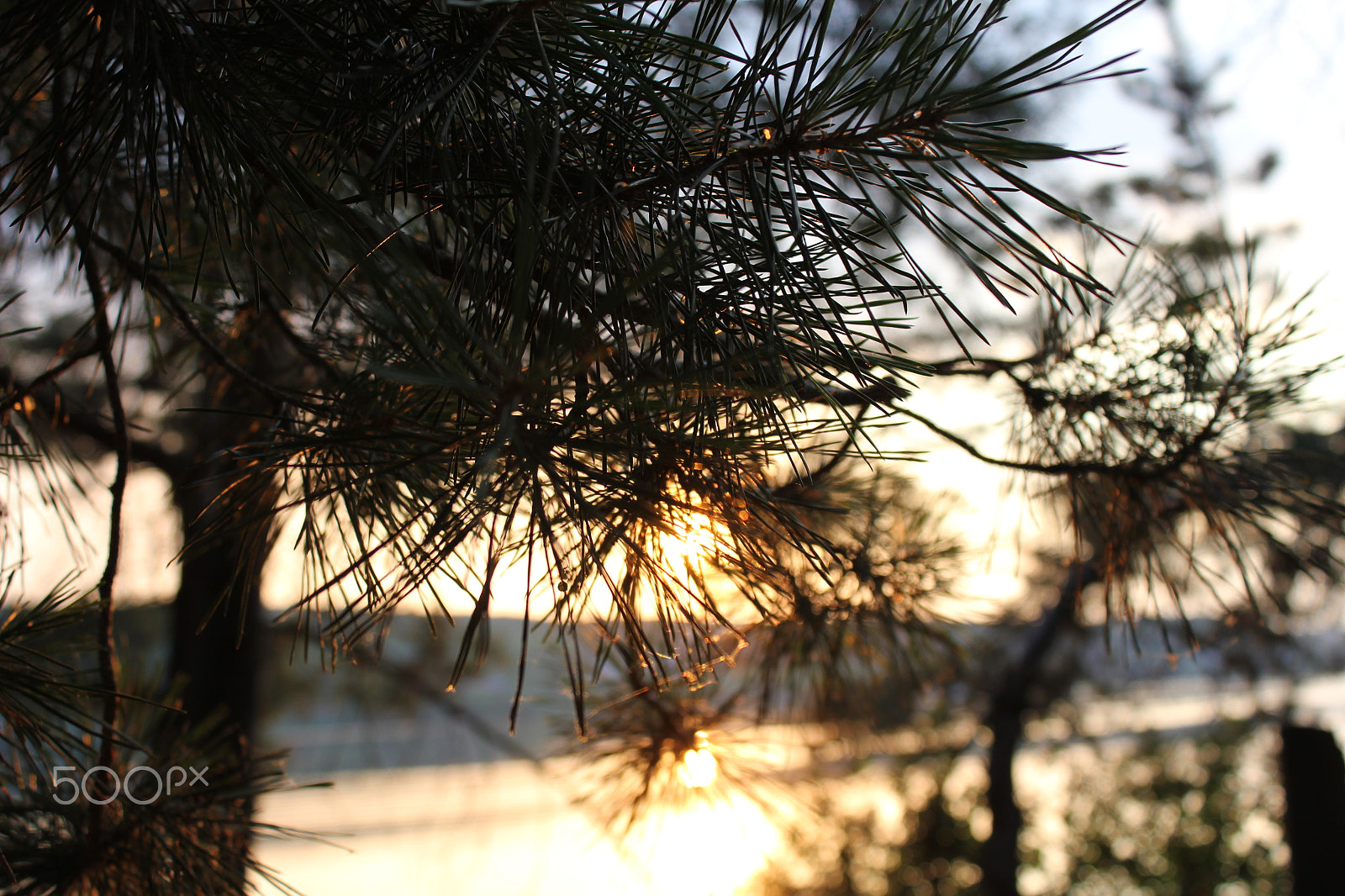 Canon EOS 550D (EOS Rebel T2i / EOS Kiss X4) sample photo. Zakat photography