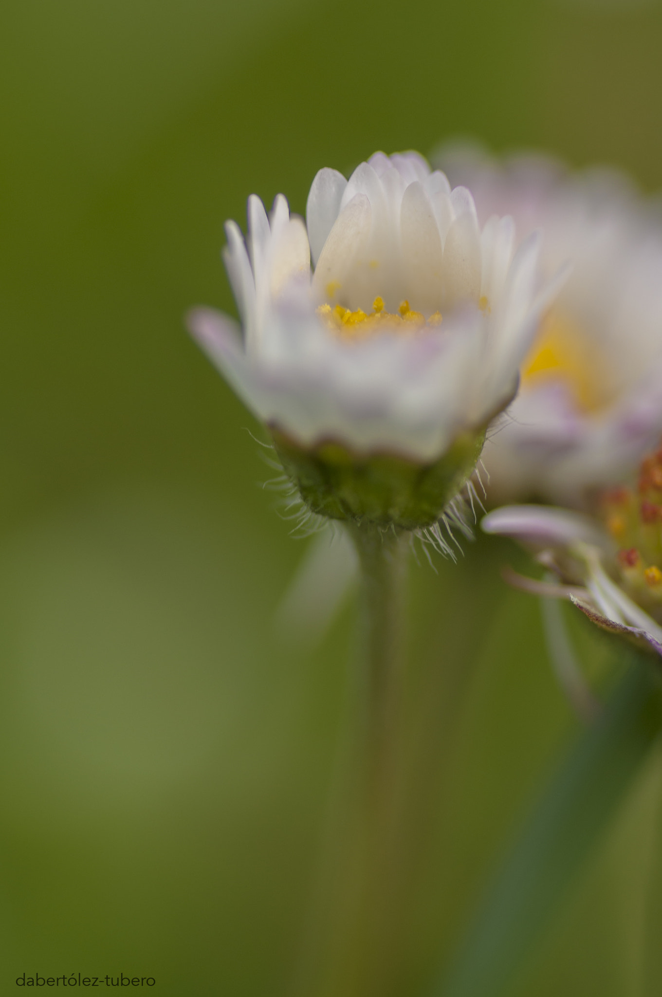 Nikon D90 sample photo. Margarita photography