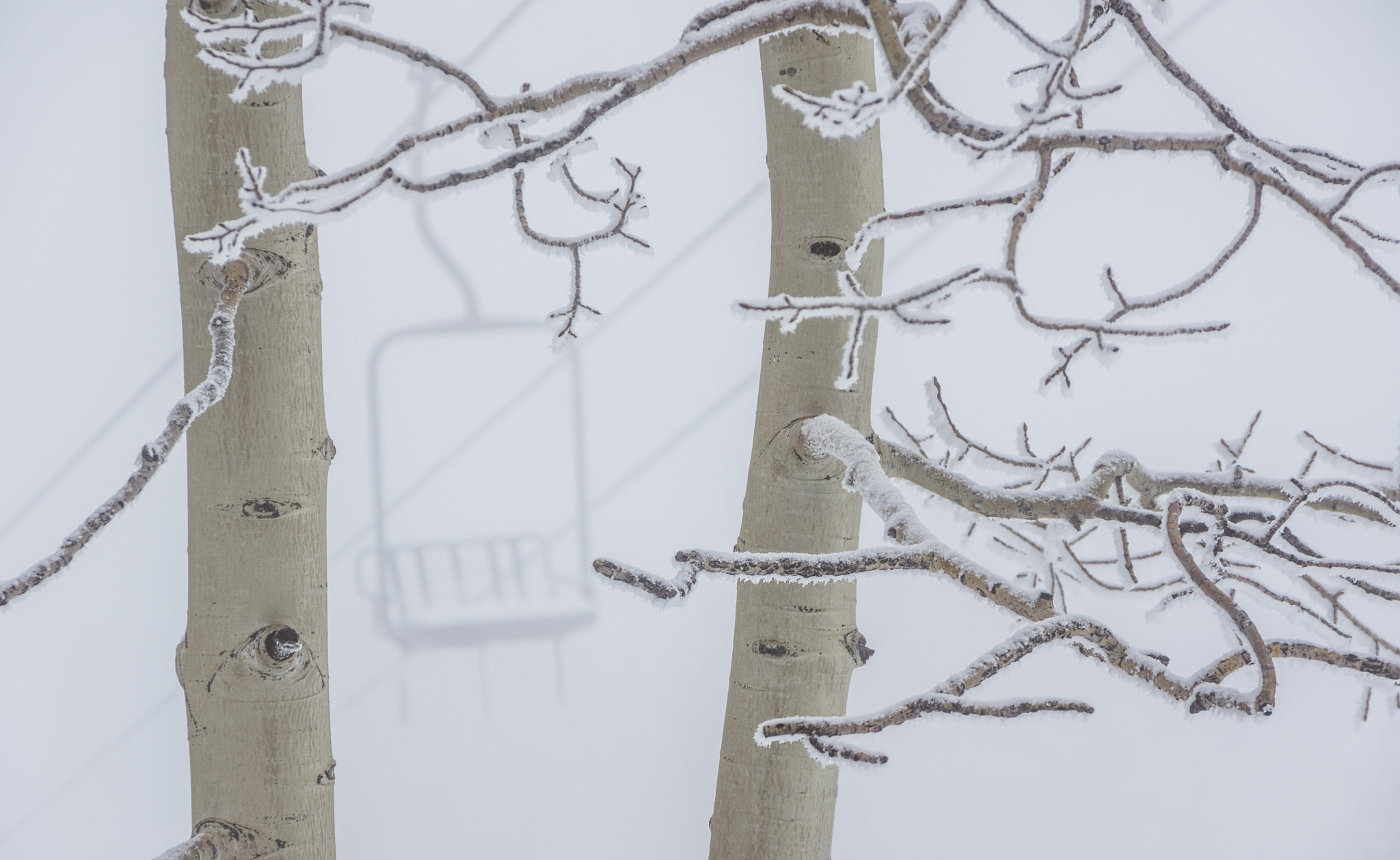 Pentax K-3 sample photo. Skiing in the clouds photography
