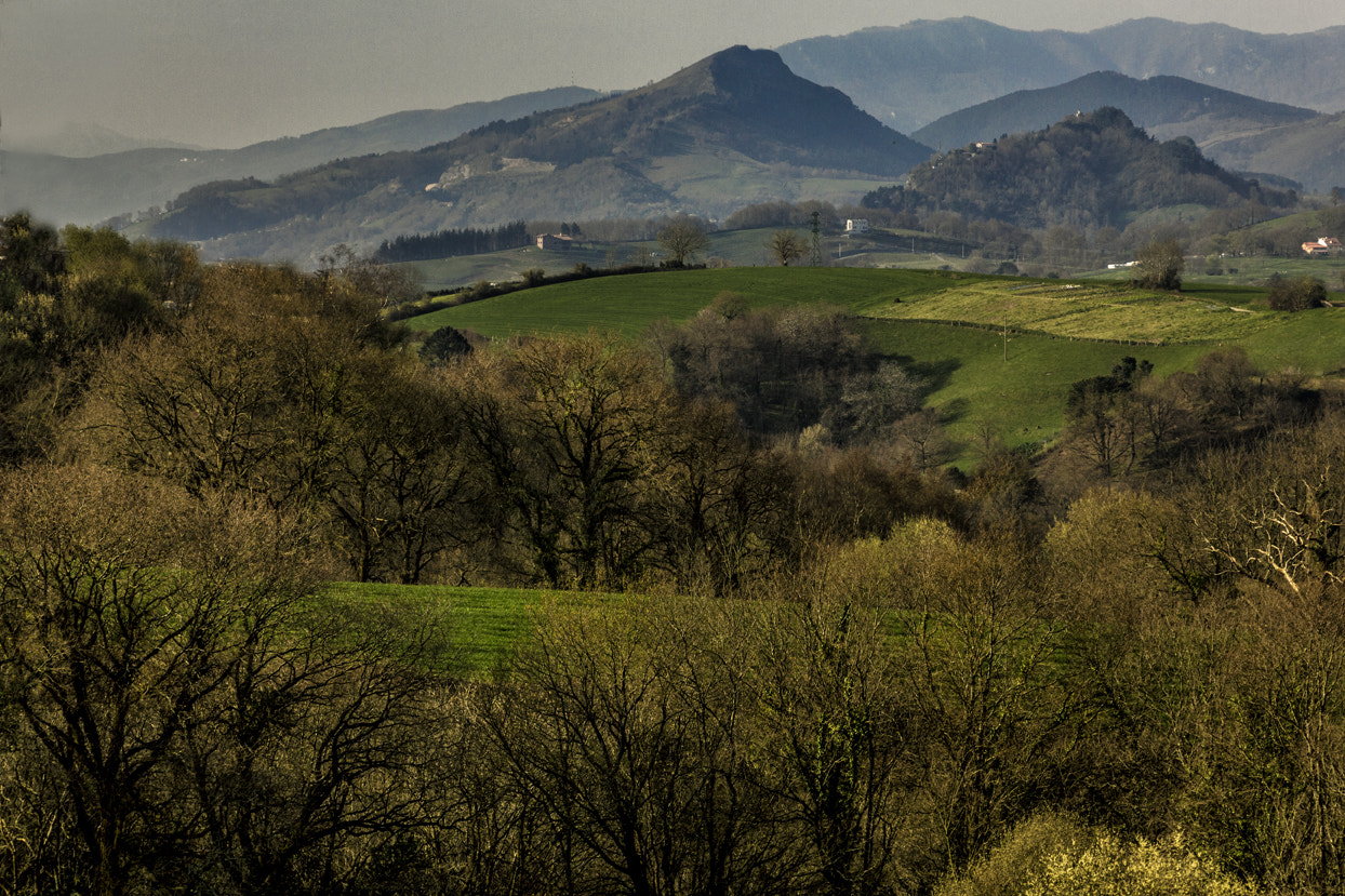 Canon EOS 550D (EOS Rebel T2i / EOS Kiss X4) sample photo. Paseos photography