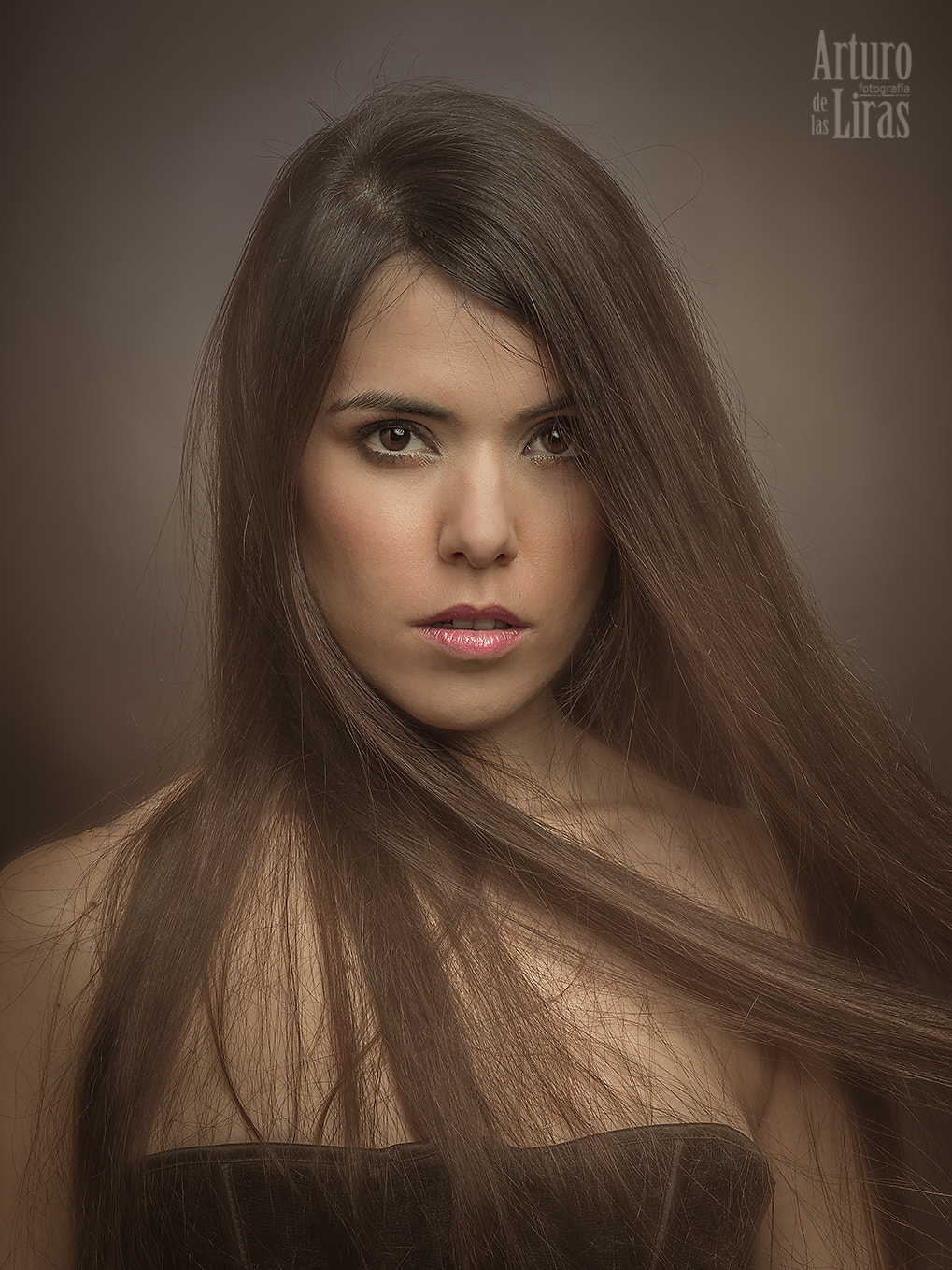 Olympus OM-D E-M1 Mark II + OLYMPUS 50mm Lens sample photo. Maxim 2 photography