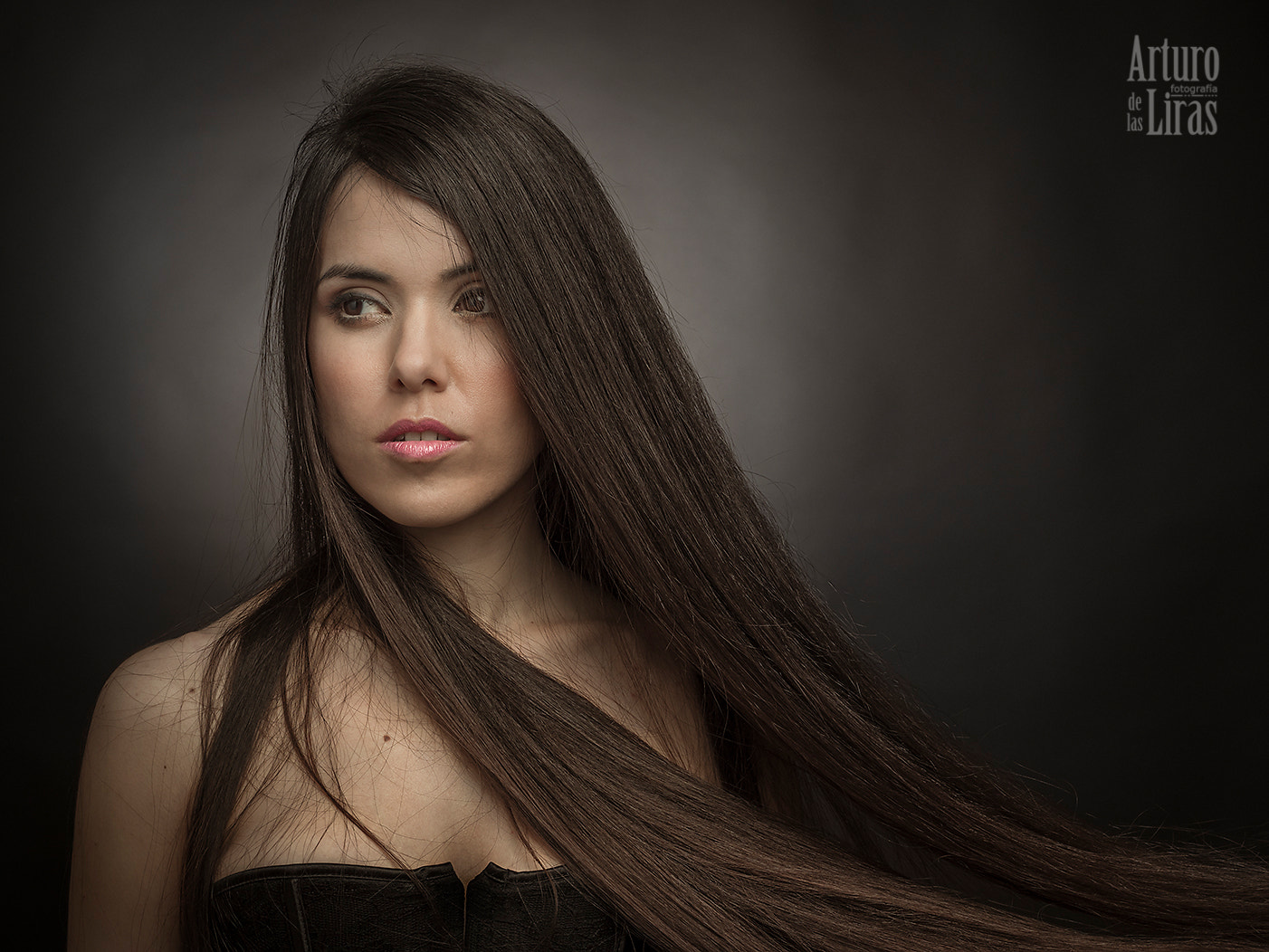 Olympus OM-D E-M1 Mark II + OLYMPUS 50mm Lens sample photo. Maxim 1 photography