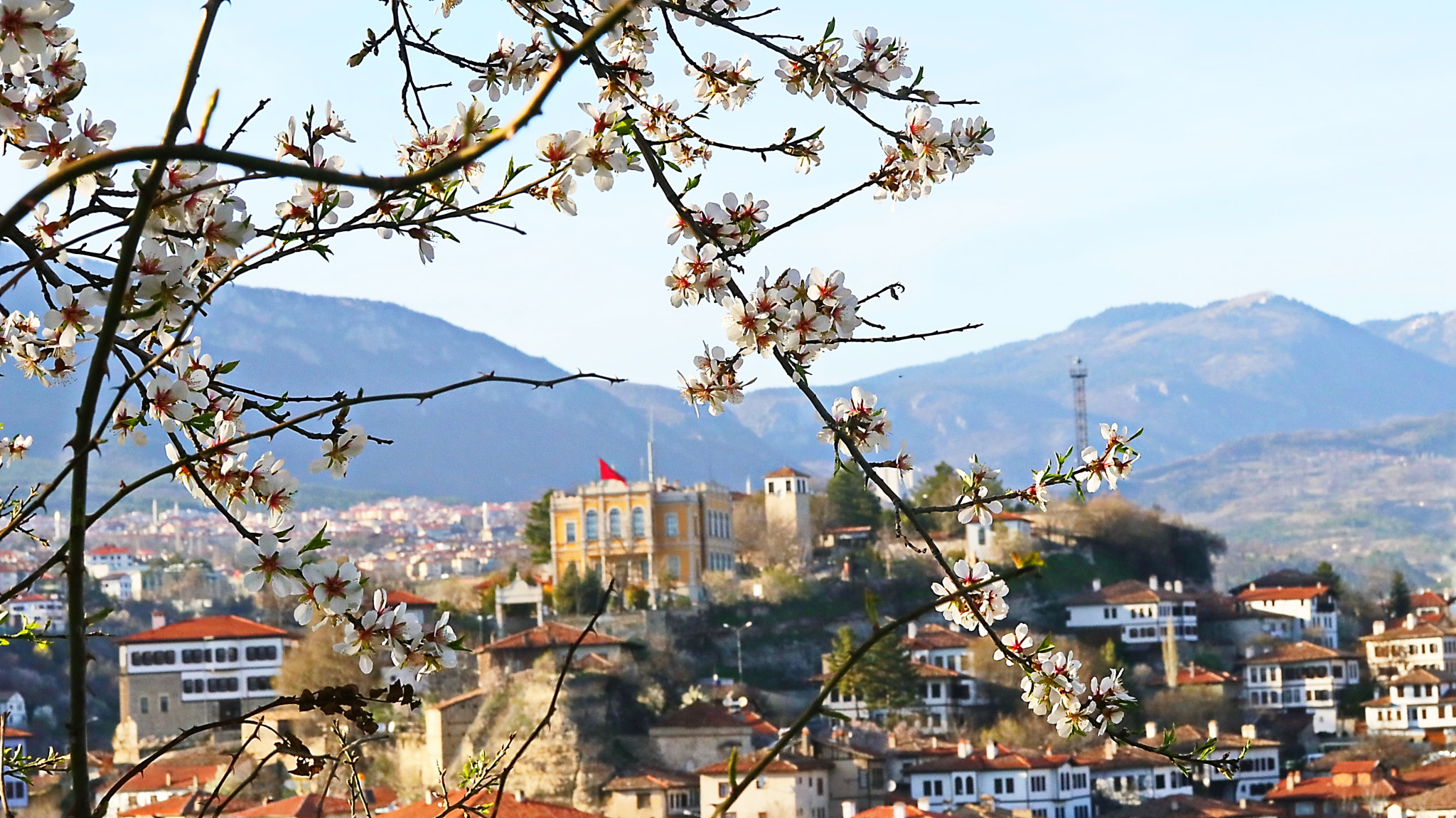 Canon EF-S 60mm F2.8 Macro USM sample photo. Safranbolu spring photography