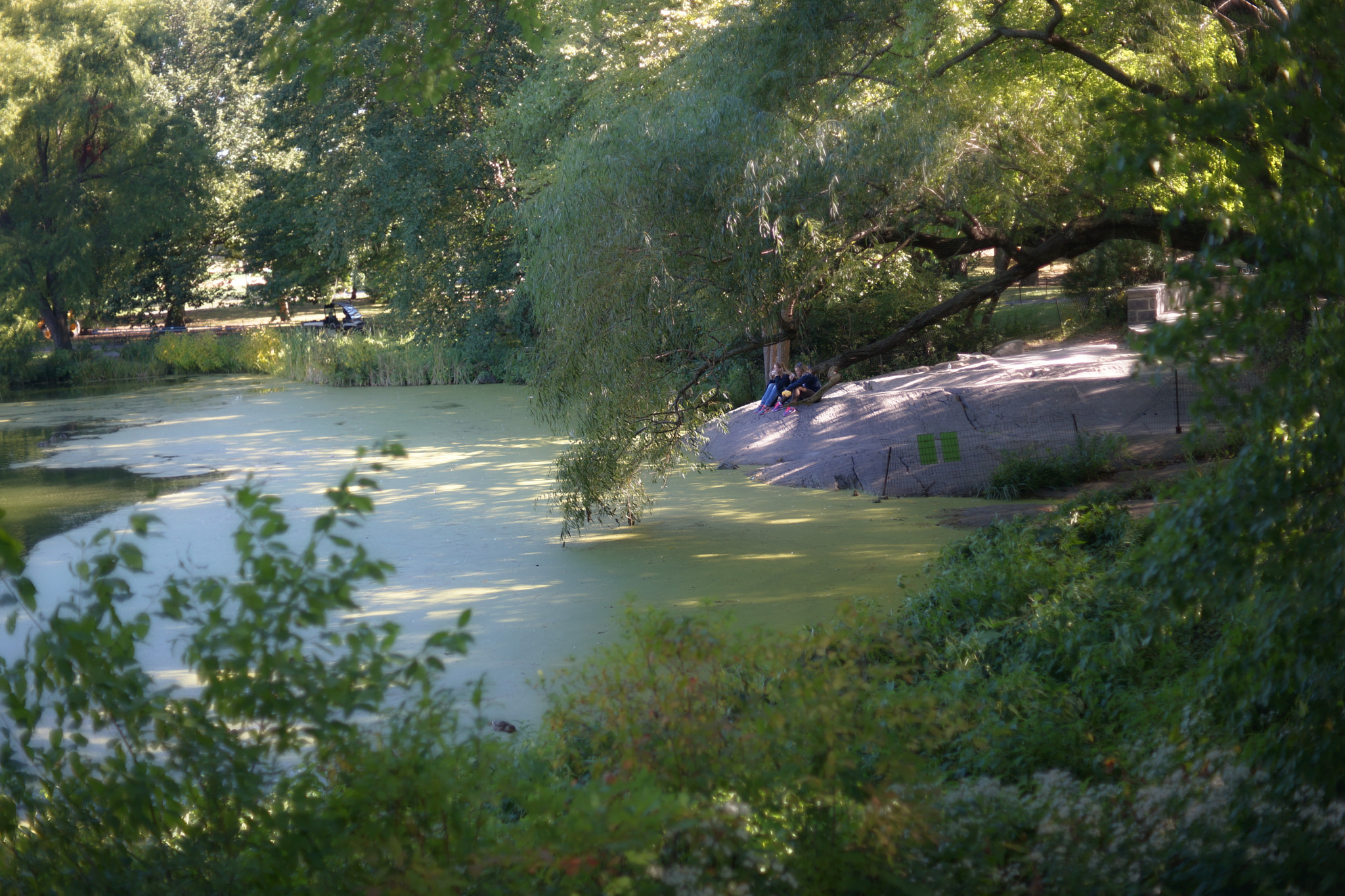 Sony a99 II sample photo. Le déjeuner sur l'herbe photography