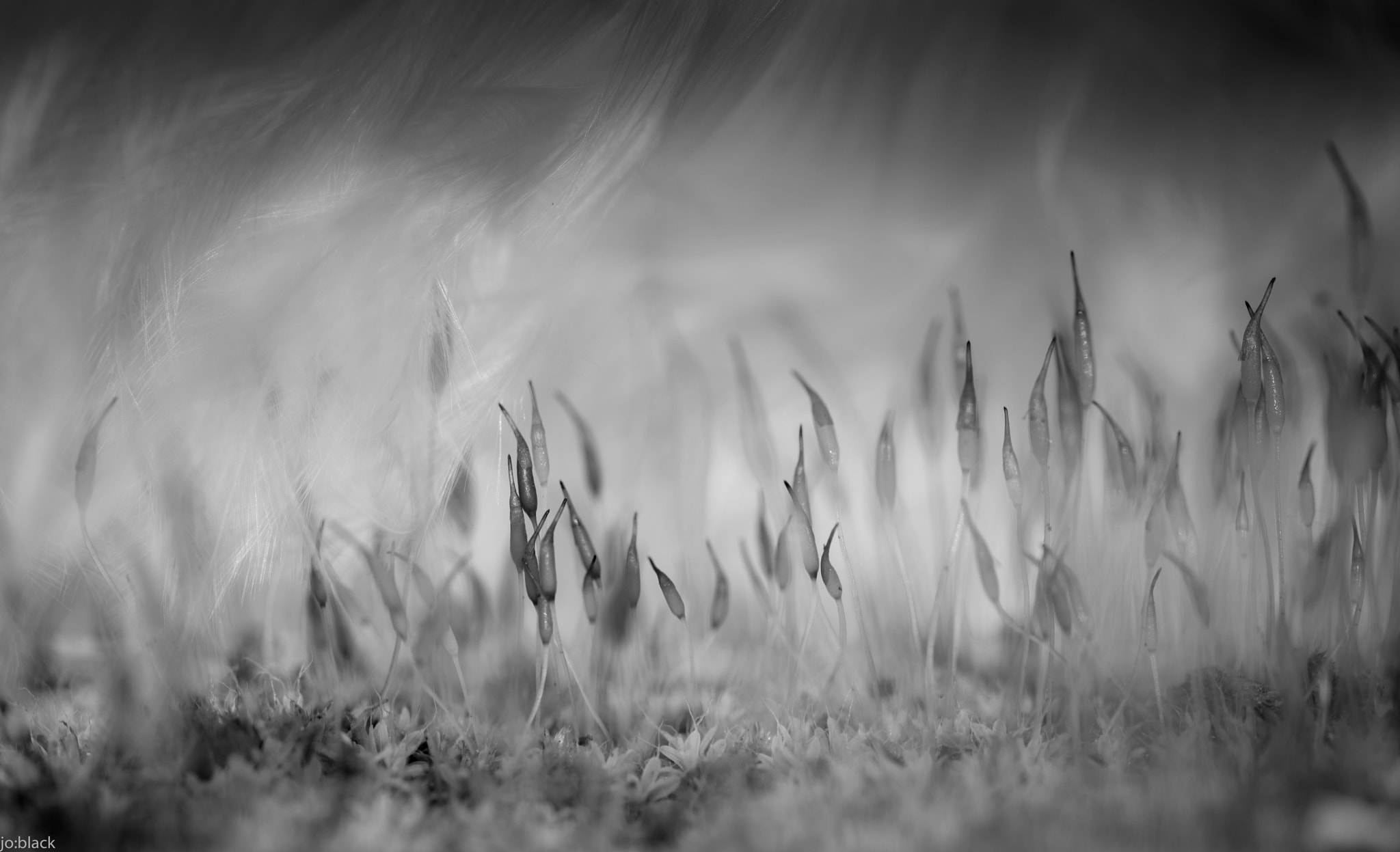 Sigma 105mm F2.8 EX DG OS HSM sample photo. A storm's brewing photography