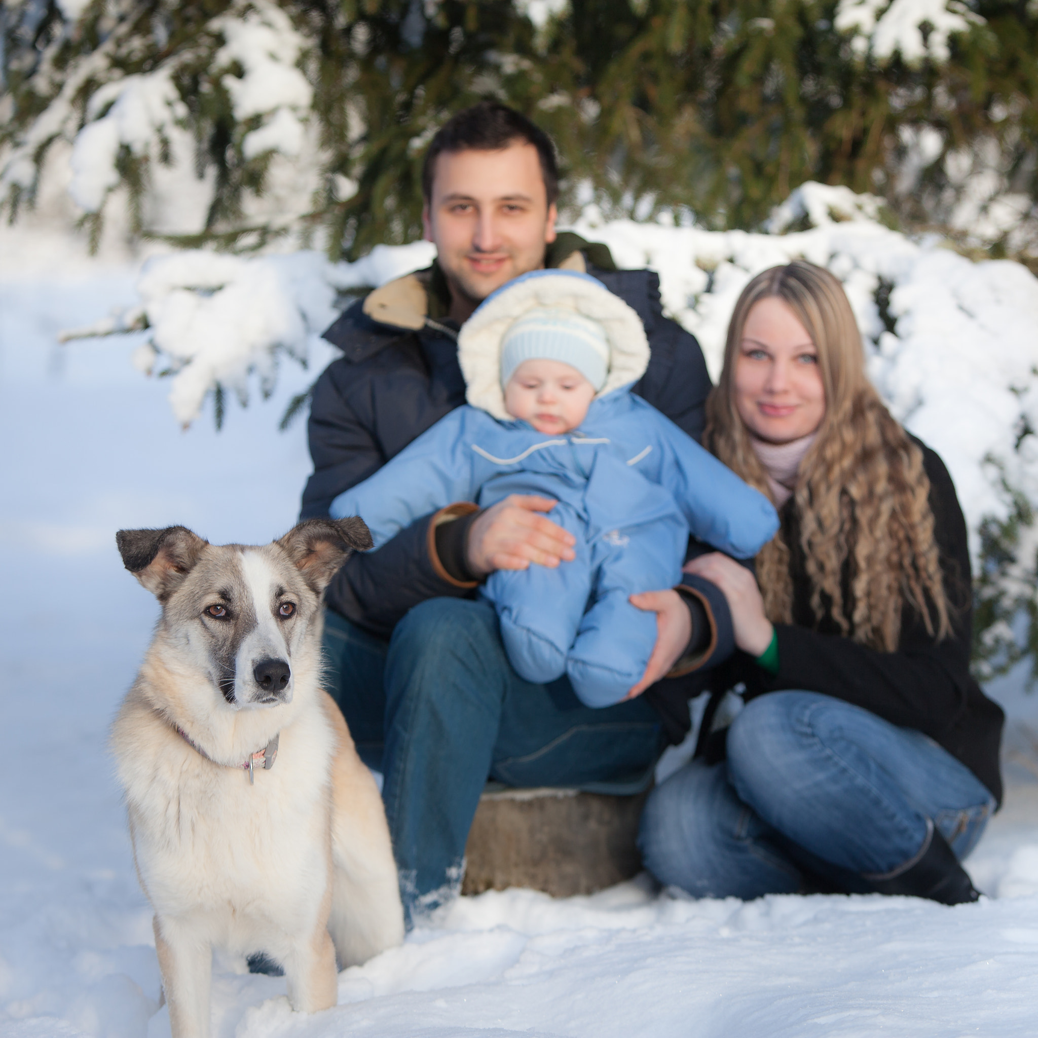 Canon EOS 5D Mark II + Canon EF 70-200mm F2.8L IS USM sample photo. Winter family portrait photography