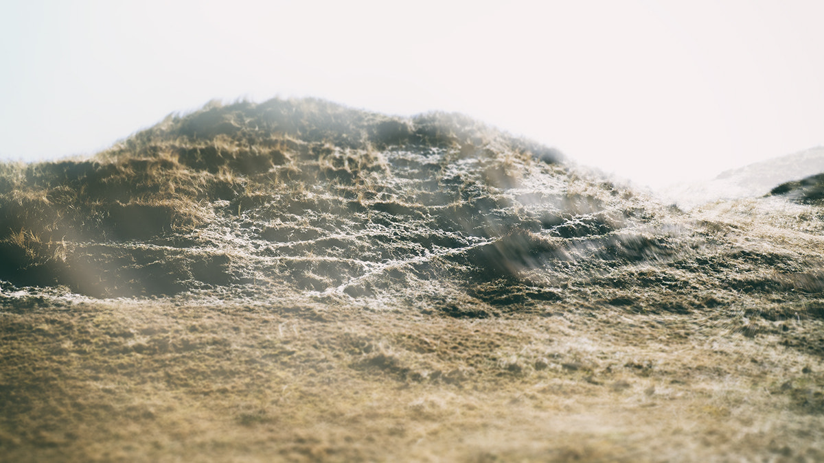LUMIX G VARIO 12-60/F3.5-5.6 sample photo. Dunes fever ... photography