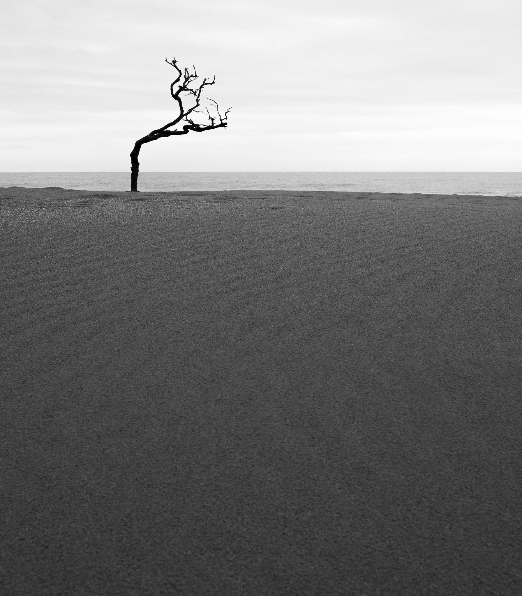 Sony FE 28mm F2 sample photo. Winter (memories of the last day) photography