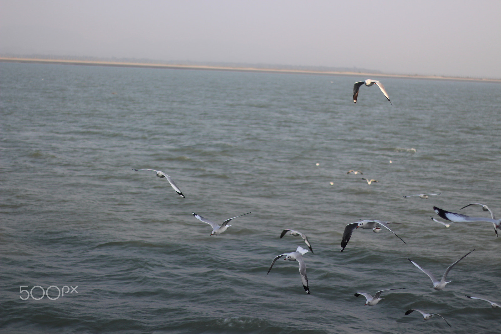 Canon EOS 700D (EOS Rebel T5i / EOS Kiss X7i) sample photo. Img photography