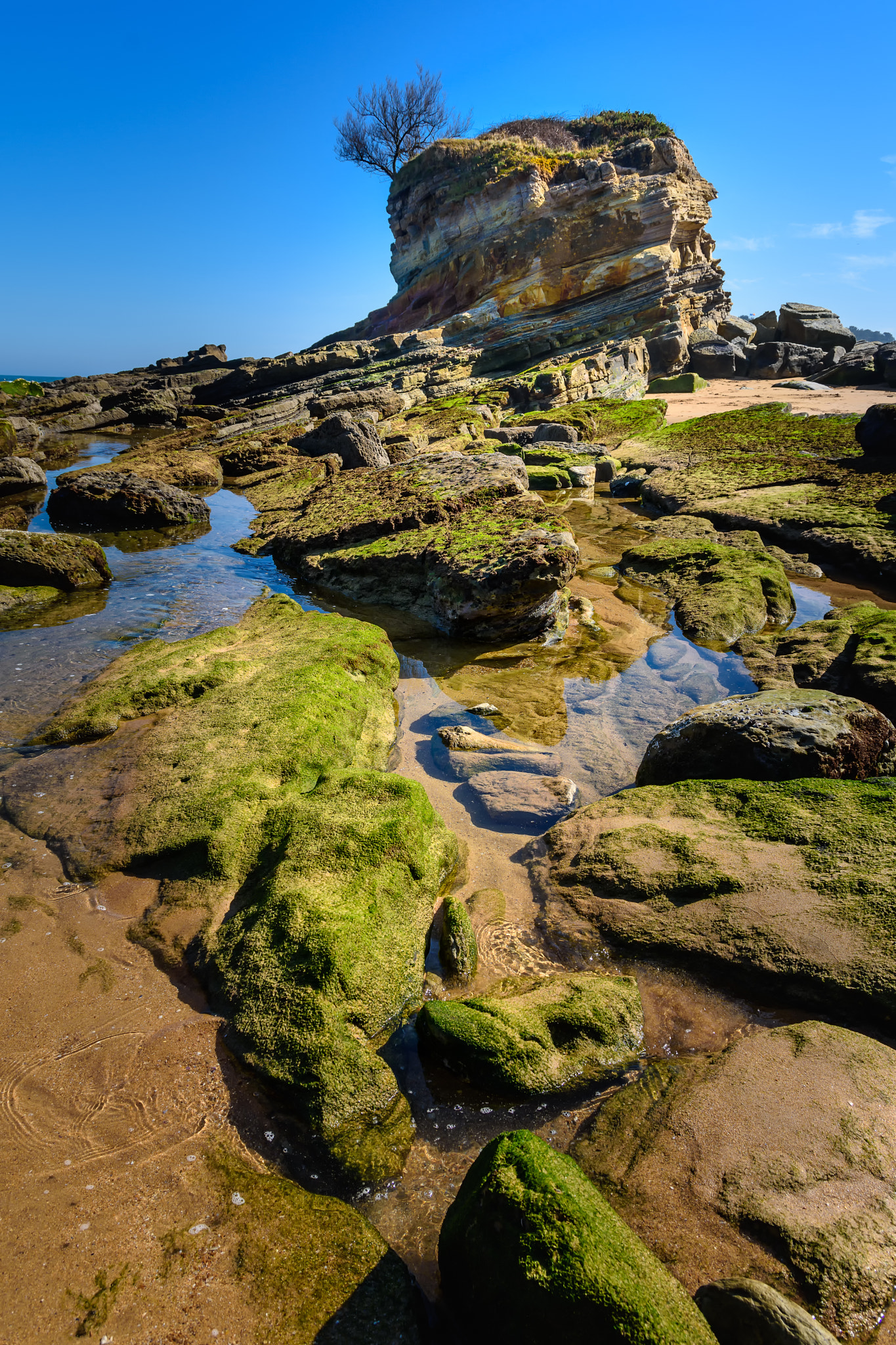Sigma 17-70mm F2.8-4 DC Macro OS HSM | C sample photo. Playa de el camello photography