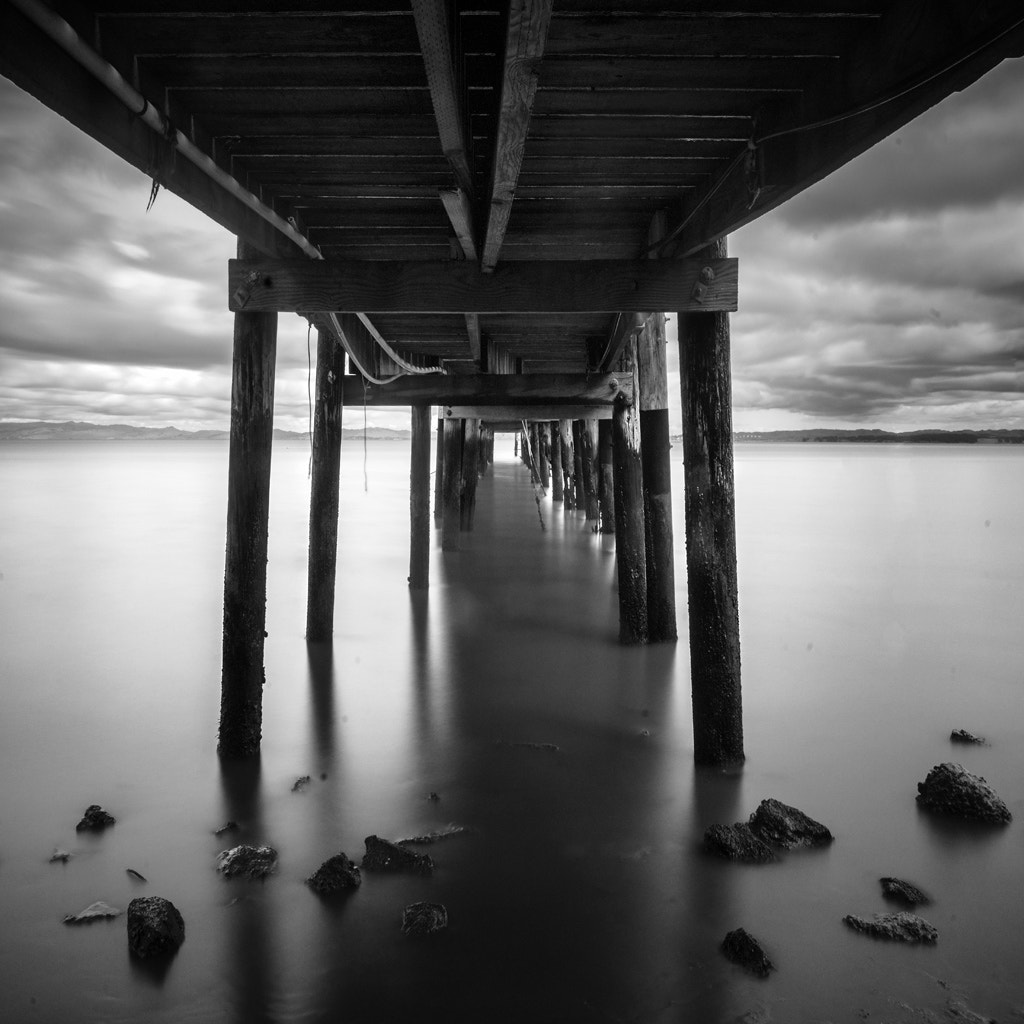 Sony Alpha DSLR-A850 + Sigma 17-35mm F2.8-4 EX Aspherical sample photo. China camp state park photography