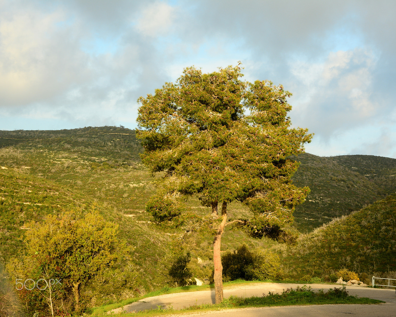 Nikon D7100 sample photo