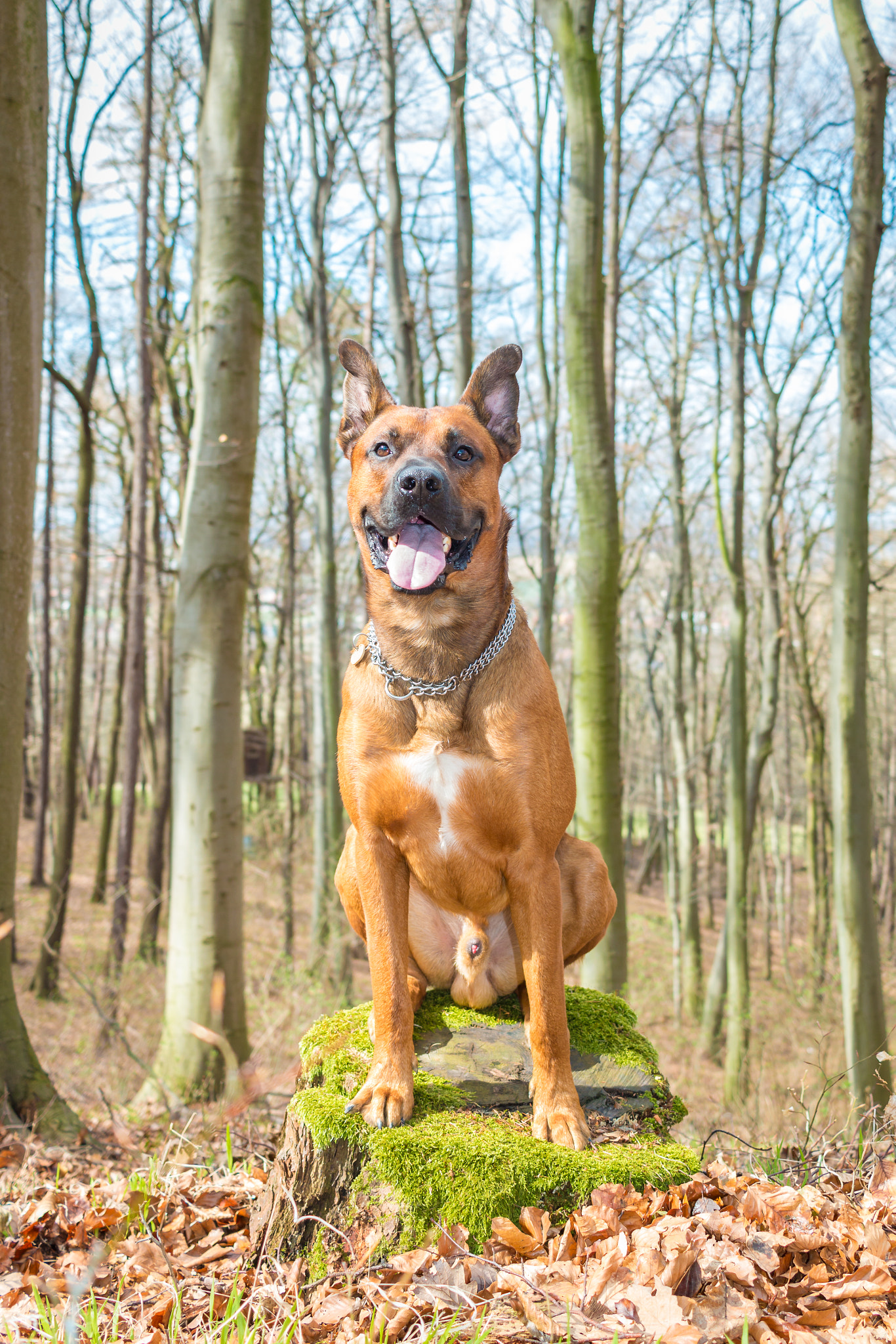 Canon EF-S 24mm F2.8 STM sample photo. Spenc# photography
