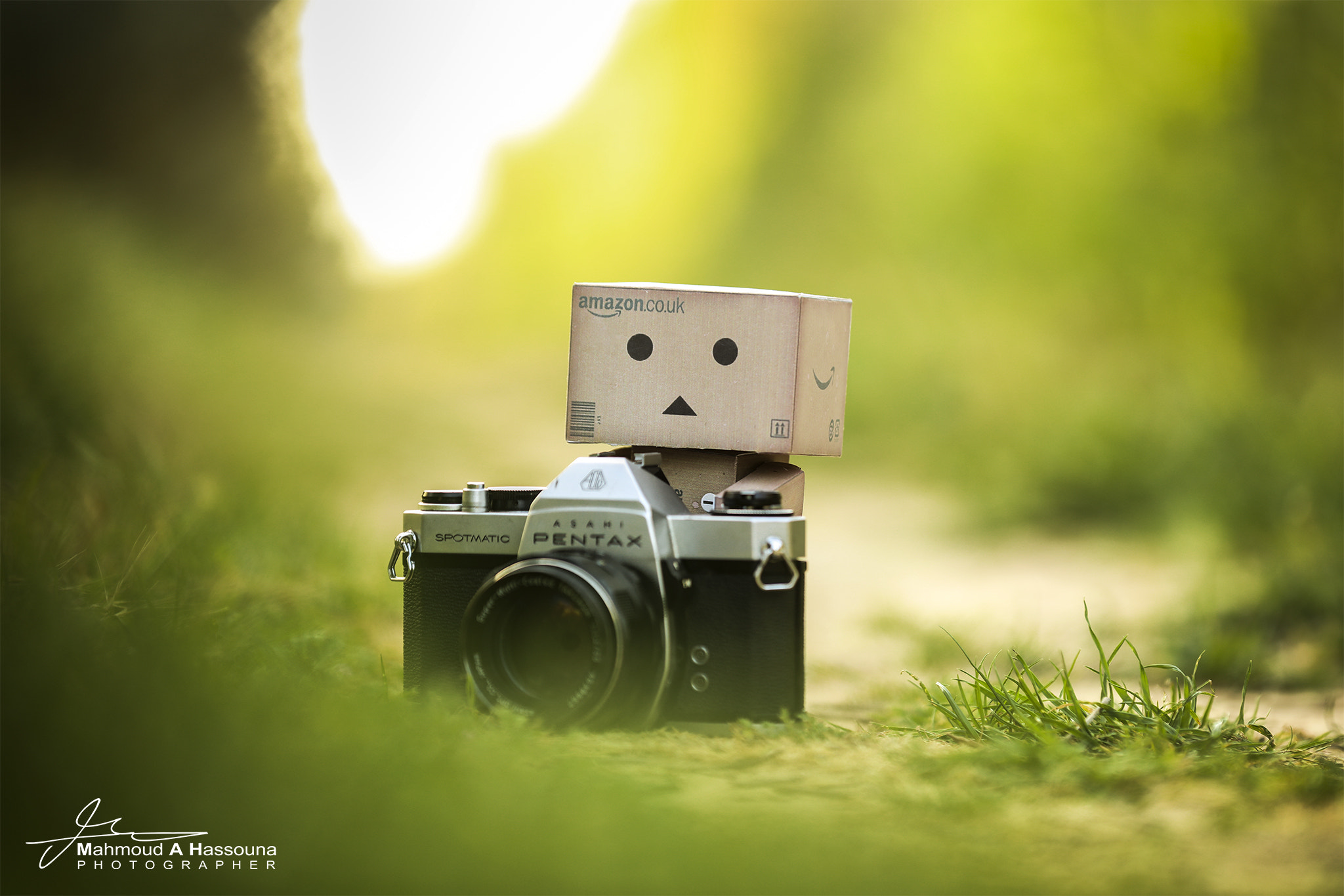 Canon EOS 5DS R sample photo. Danboo photography