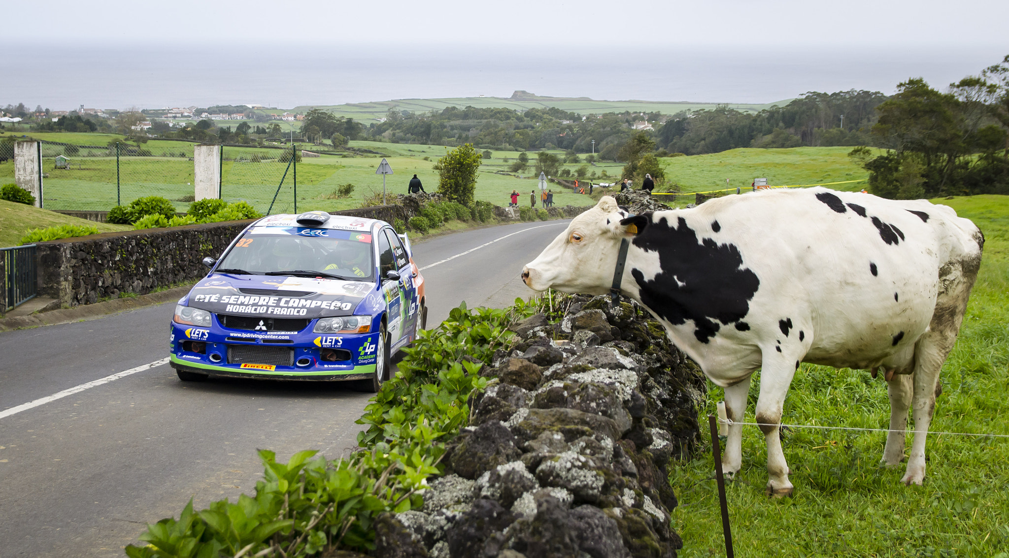 Sigma 17-50mm F2.8 EX DC OS HSM sample photo. Pure rally photography
