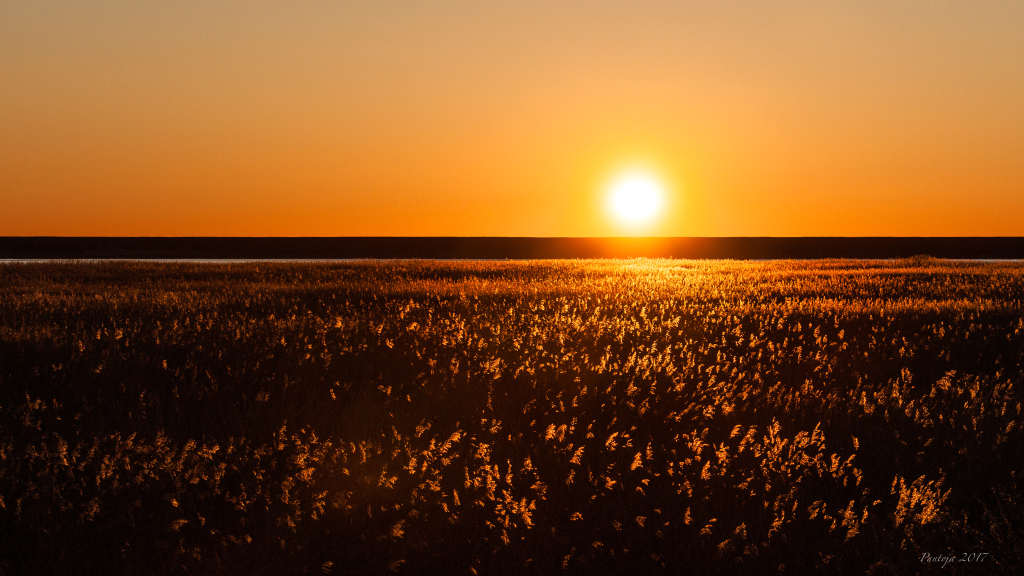 Sony 70-400mm F4-5.6 G SSM sample photo. When the sun goes down lv photography