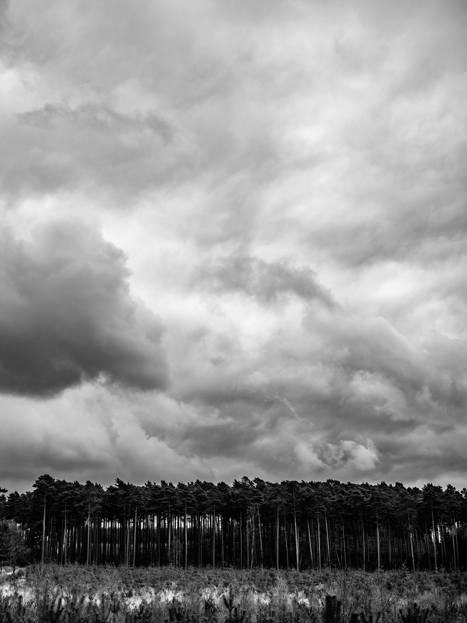 Fujifilm GFX 50S + Fujifilm GF 63mm F2.8 R WR sample photo. Stormy photography