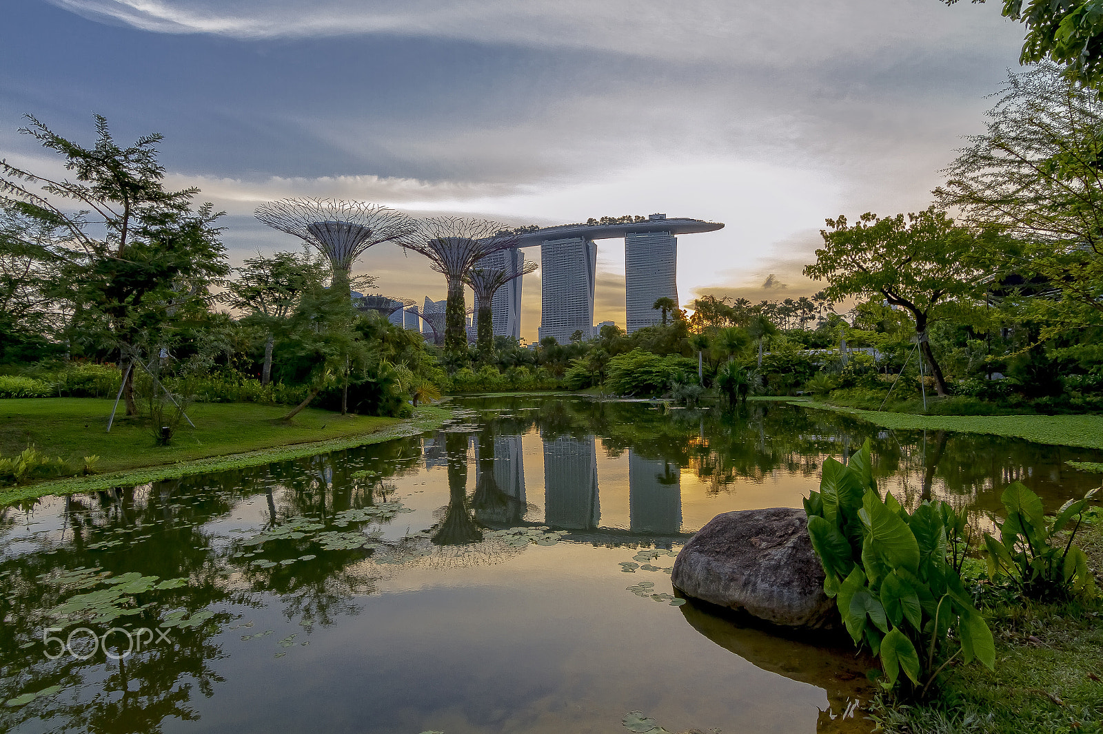 Canon EOS 7D + Tokina AT-X Pro 11-16mm F2.8 DX sample photo. Gardens by the bay singapore photography