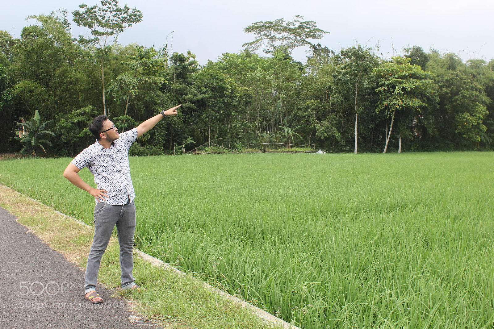 Canon EOS 60D sample photo. Img photography