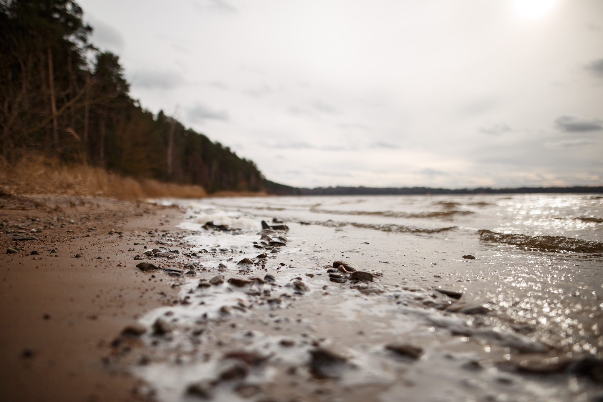 Canon EOS 6D + Sigma 24mm F1.4 DG HSM Art sample photo. Kaunas lagoon in springtime photography