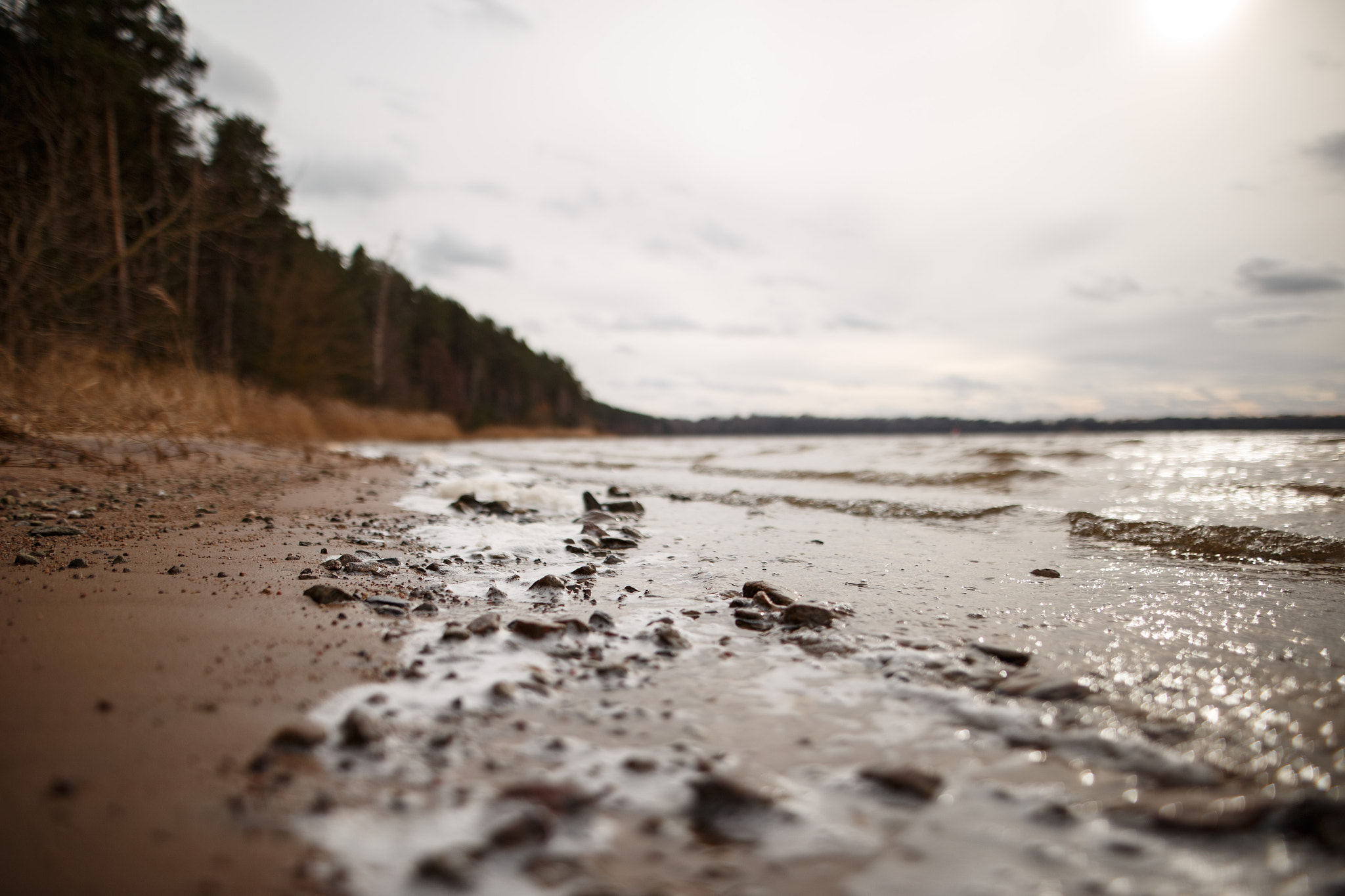 Sigma 24mm F1.4 DG HSM Art sample photo. Kaunas lagoon in springtime photography