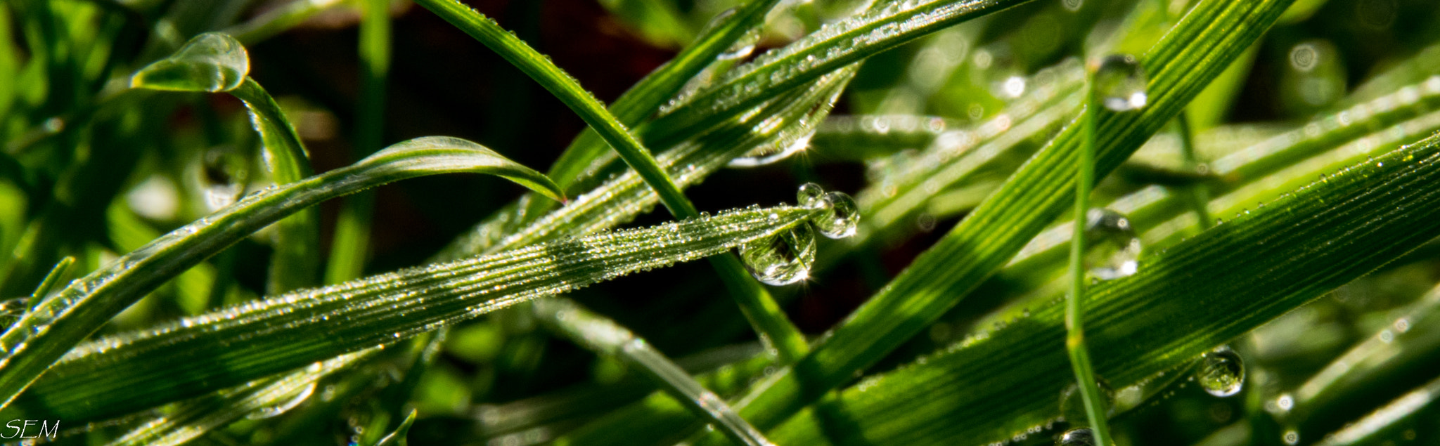 Sigma 18-250mm F3.5-6.3 DC Macro OS HSM sample photo. Tripletmar photography