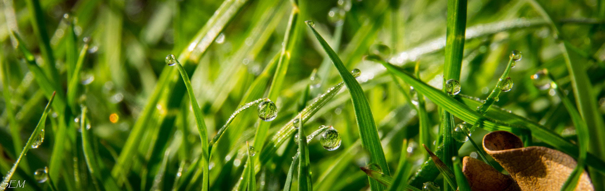 Sigma 18-250mm F3.5-6.3 DC Macro OS HSM sample photo. Twinsmar photography