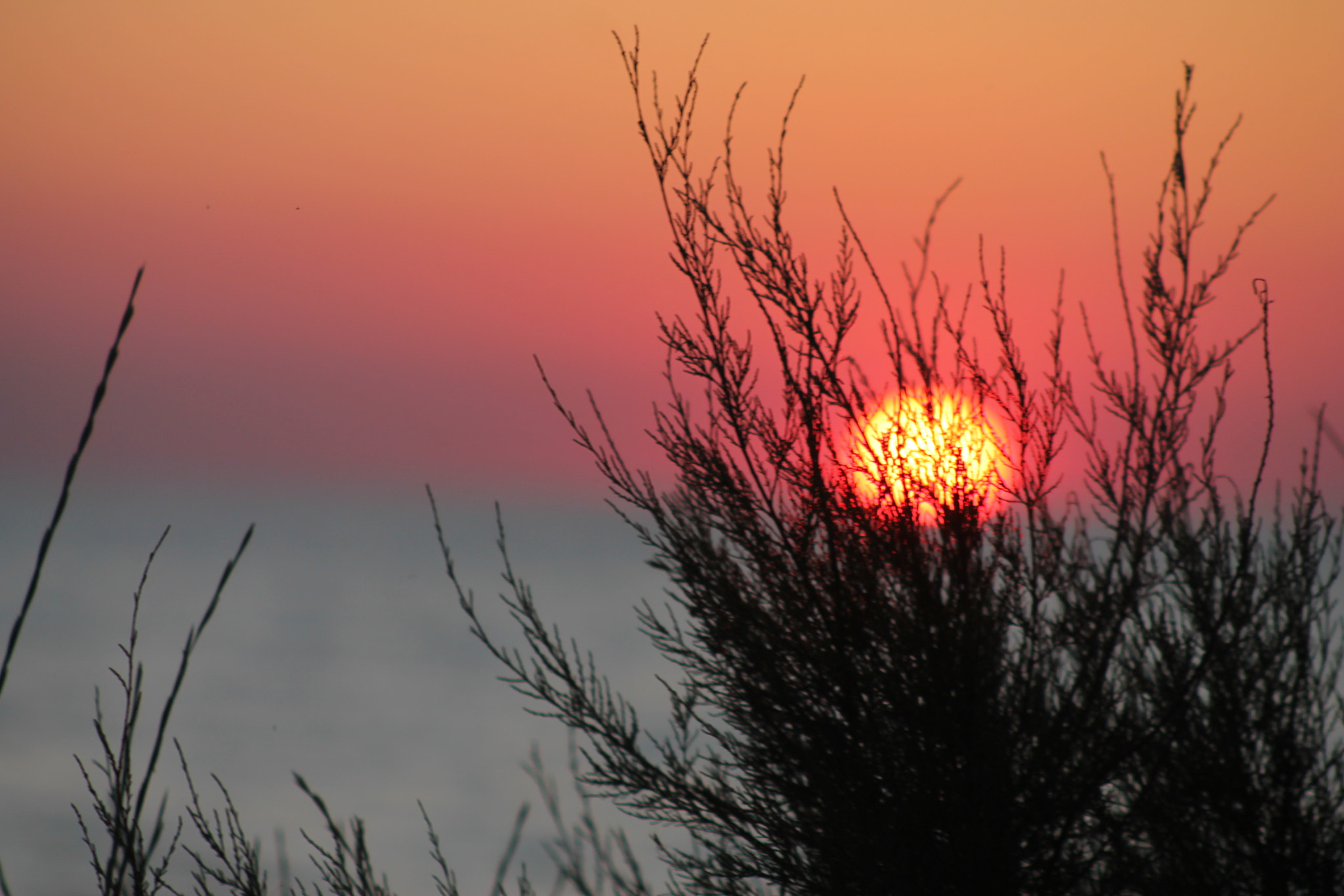 Canon EOS 1100D (EOS Rebel T3 / EOS Kiss X50) + EF75-300mm f/4-5.6 sample photo. Era un solo ricordo.. photography