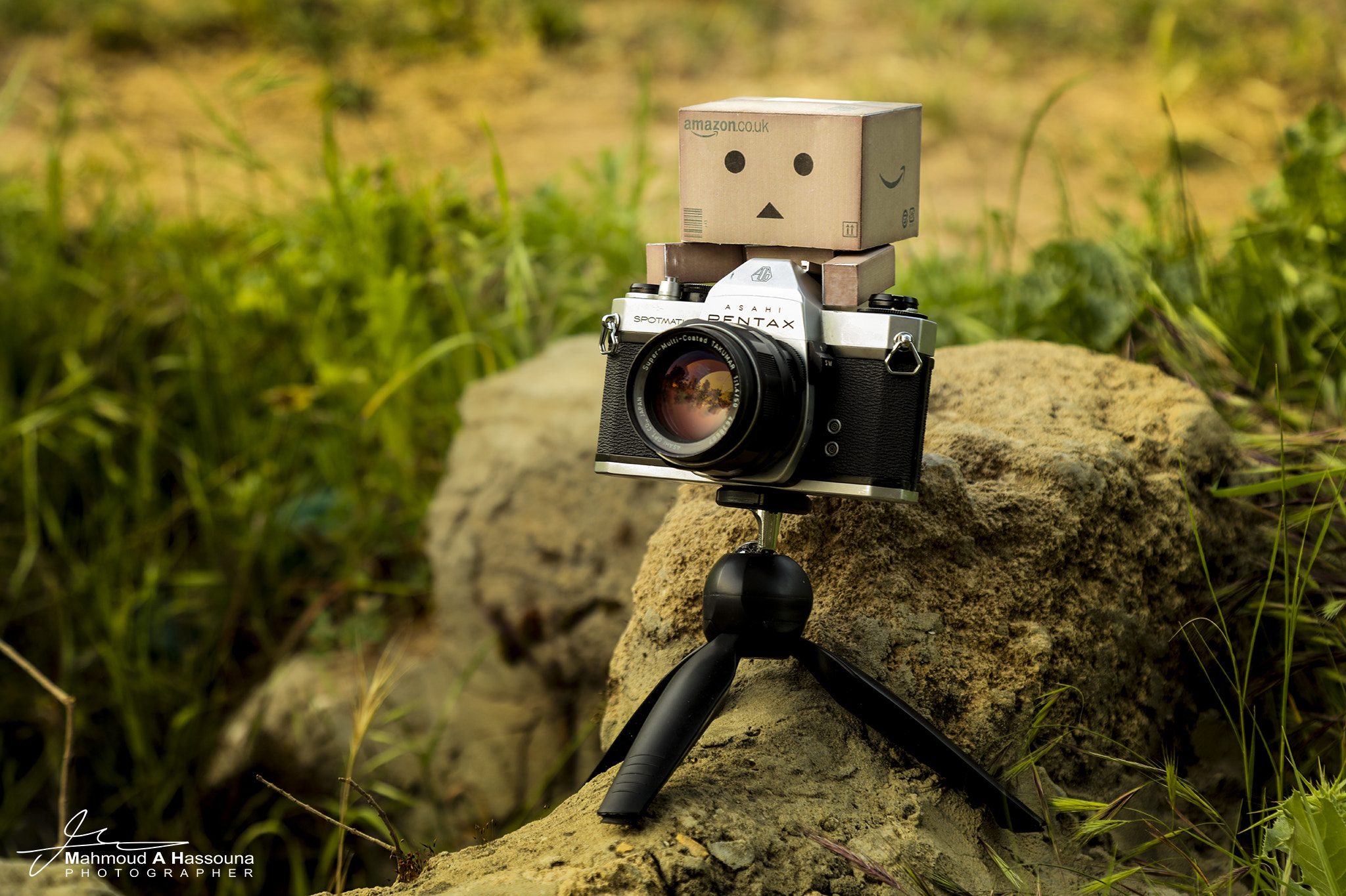 Canon EOS 5DS R sample photo. Danpoo photography