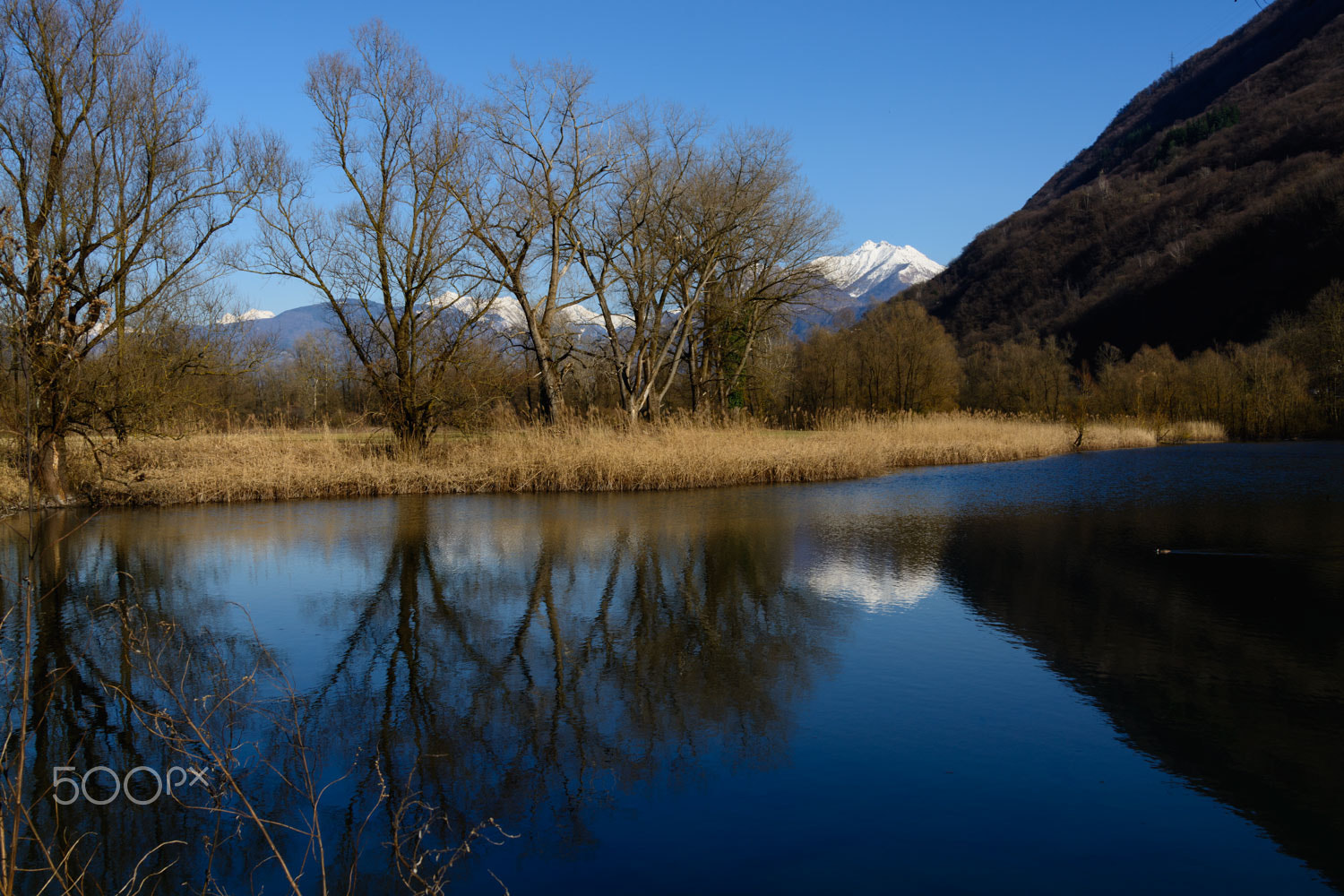 Nikon D7100 sample photo. Bolle di magadino photography