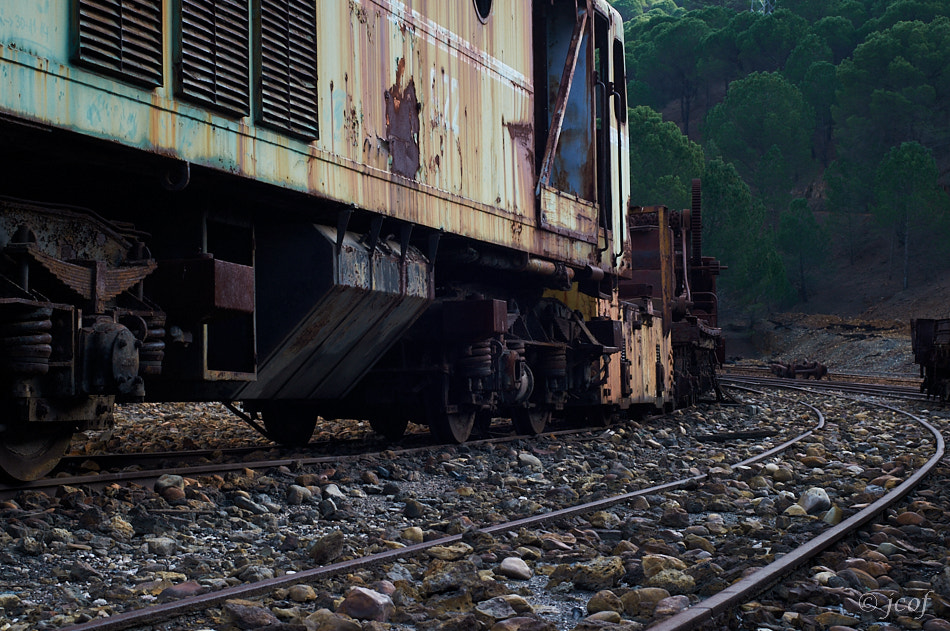 Nikon AF Nikkor 50mm F1.4D sample photo. Curve. photography