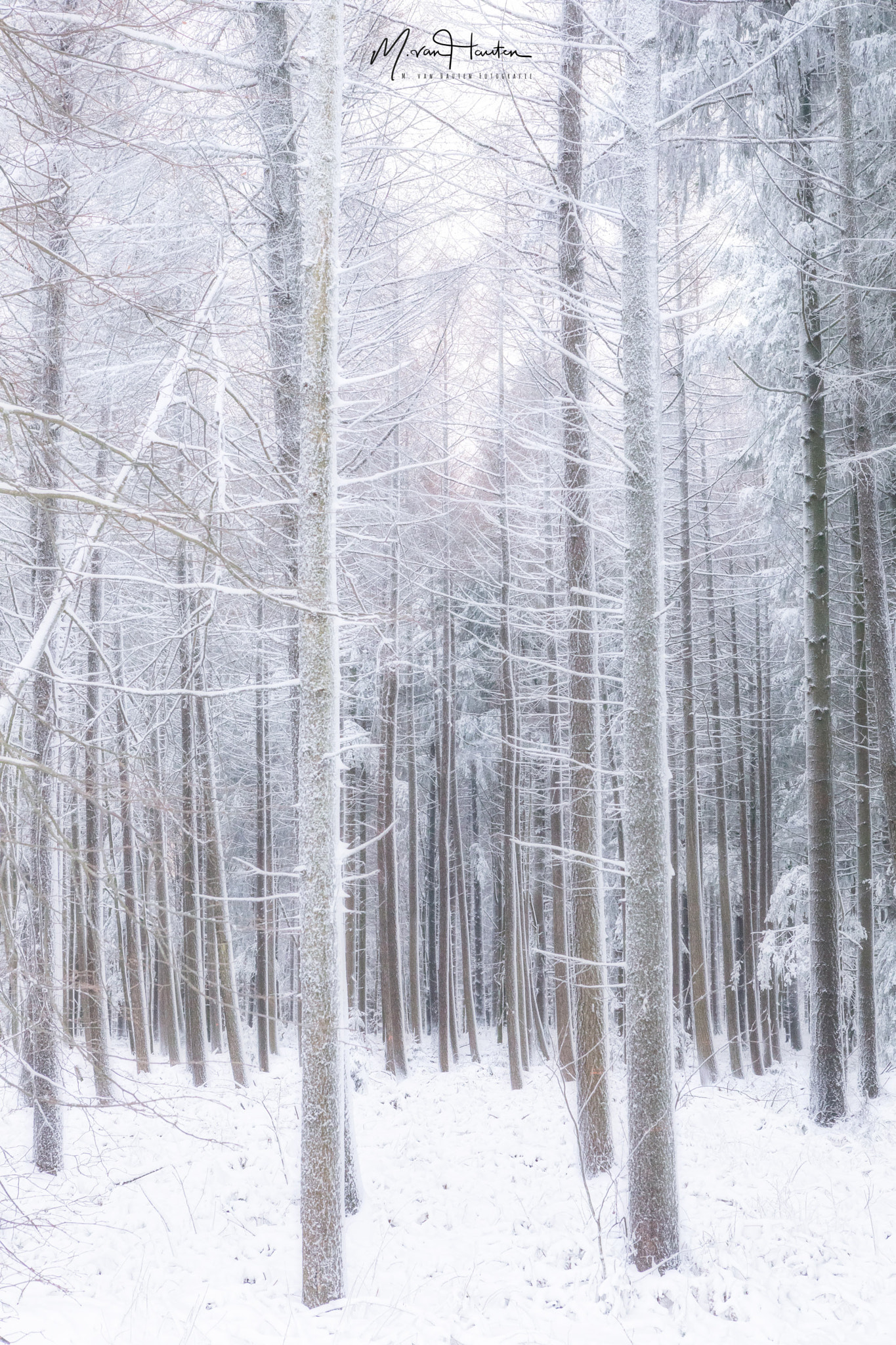 Canon EOS 5D Mark IV sample photo. Last days of winter... photography