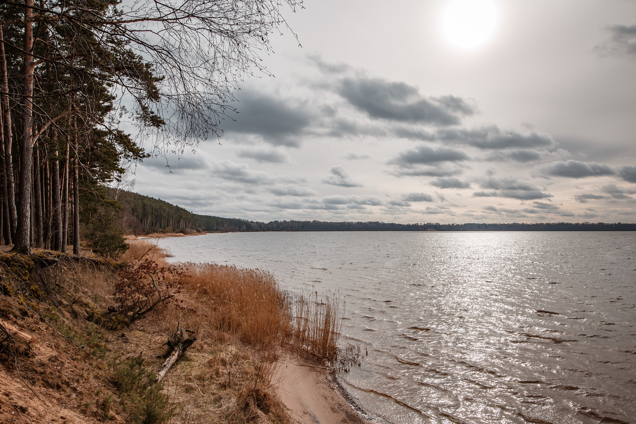 Canon EOS 6D sample photo. Kaunas lagoon in springtime photography