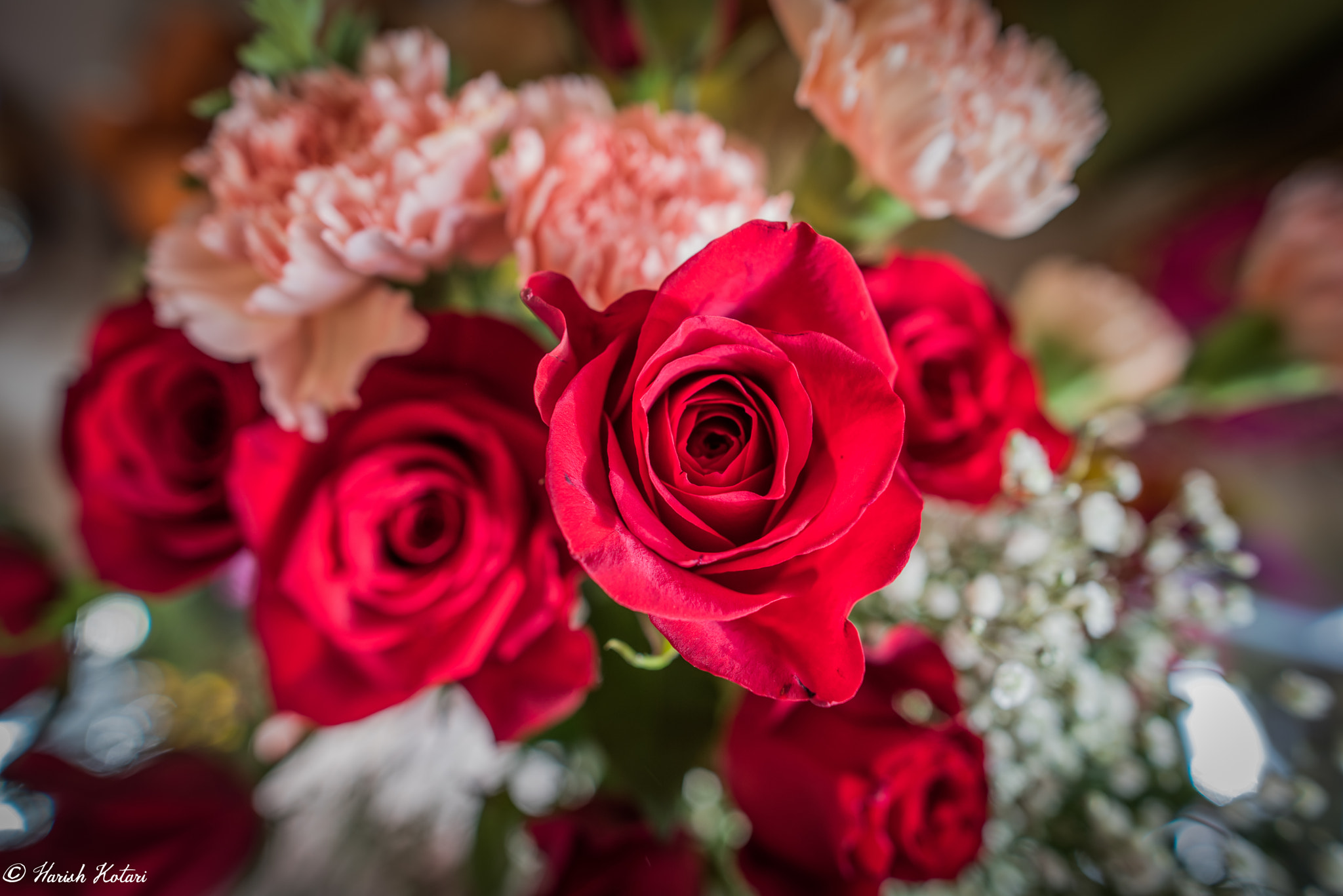 Nikon D810 + Nikon AF-S Nikkor 20mm F1.8G ED sample photo. Roses. photography