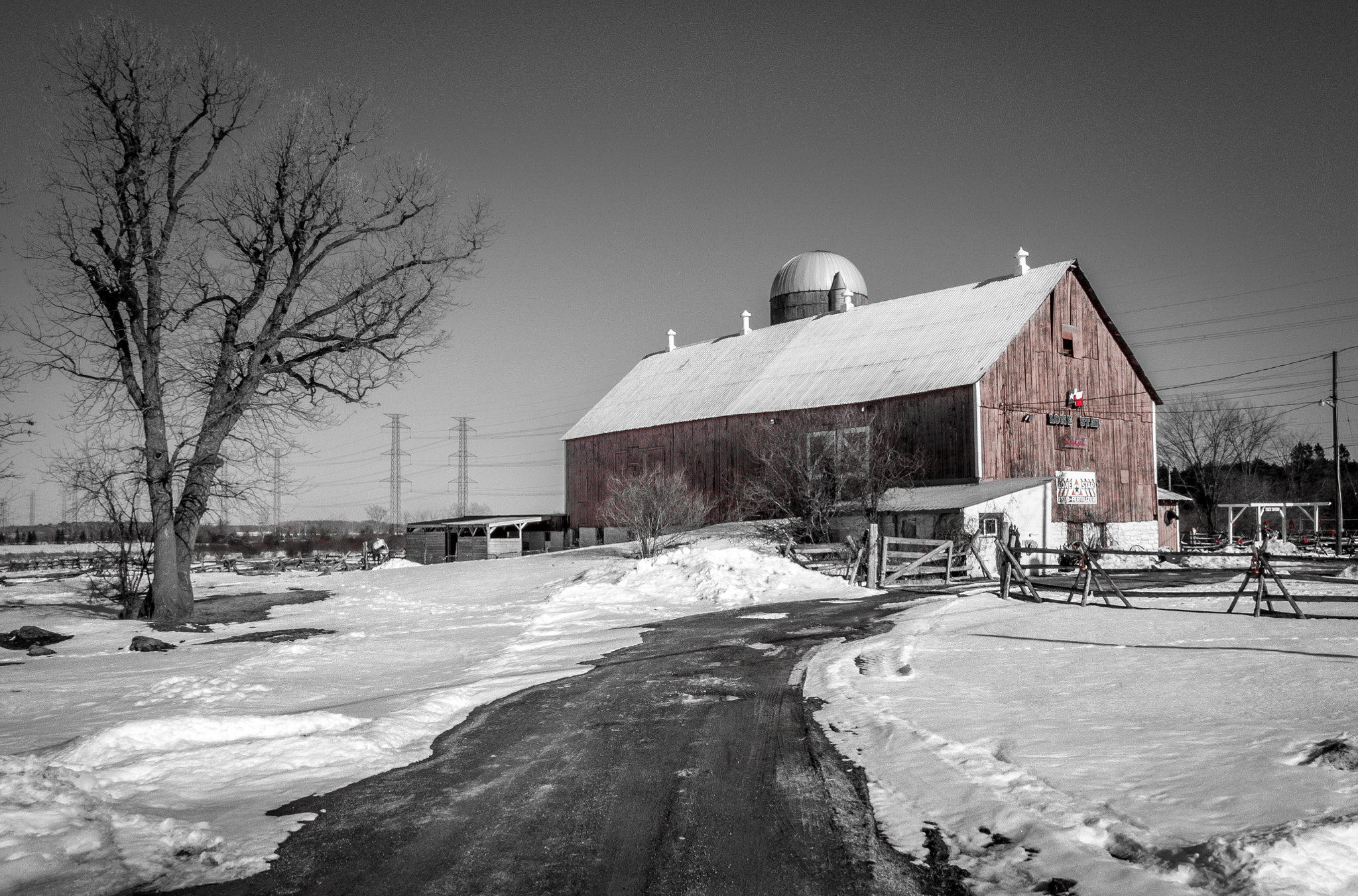 Olympus OM-D E-M5 II sample photo. Lone star ranch photography