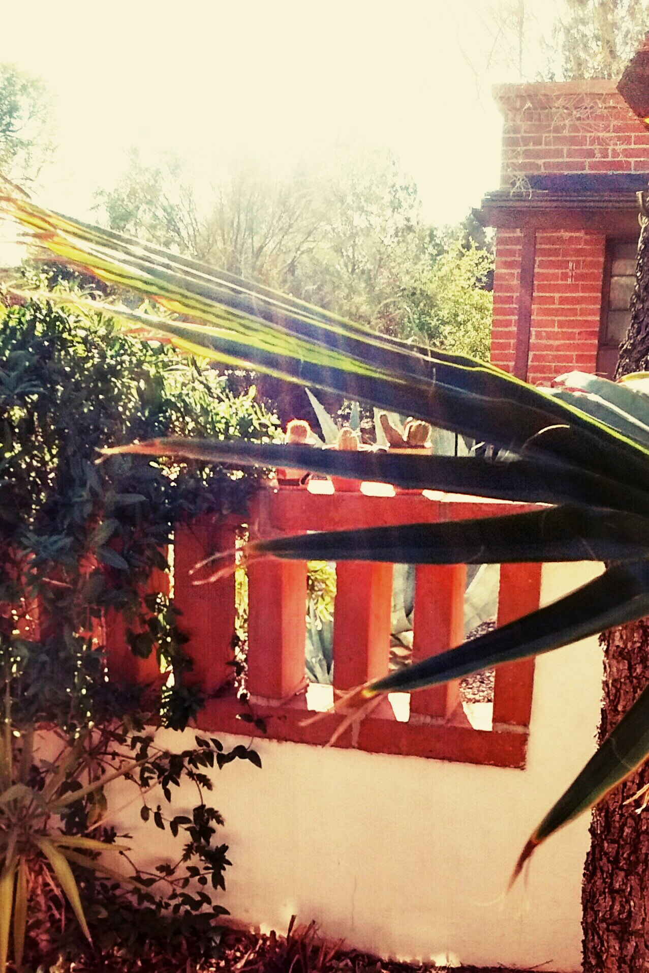 Motorola Moto E with 4G LTE (2nd Gen) sample photo. Patio profile photography