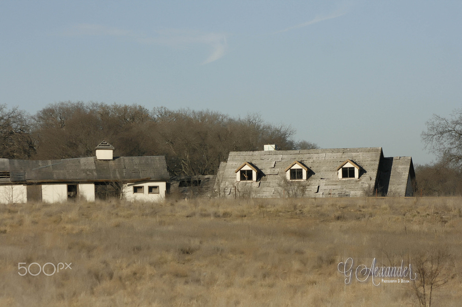 EF75-300mm f/4-5.6 sample photo. This thing they call life photography