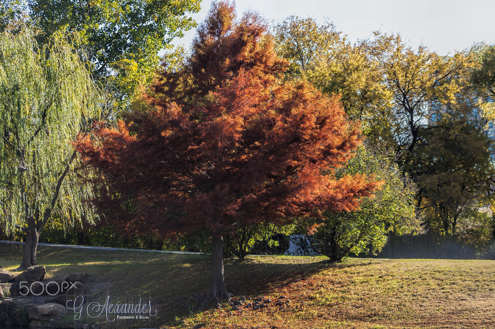 EF75-300mm f/4-5.6 sample photo. This thing they call life photography