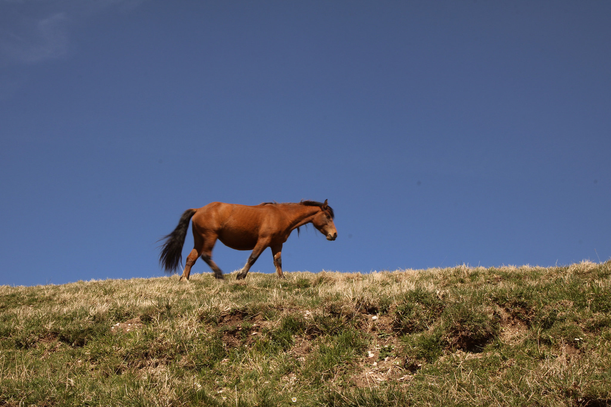 Canon EOS 760D (EOS Rebel T6s / EOS 8000D) sample photo. Vado di fretta!!! photography