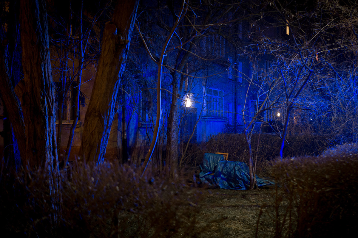 Olympus OM-D E-M10 II + LUMIX G 25/F1.7 sample photo. Blue garden photography