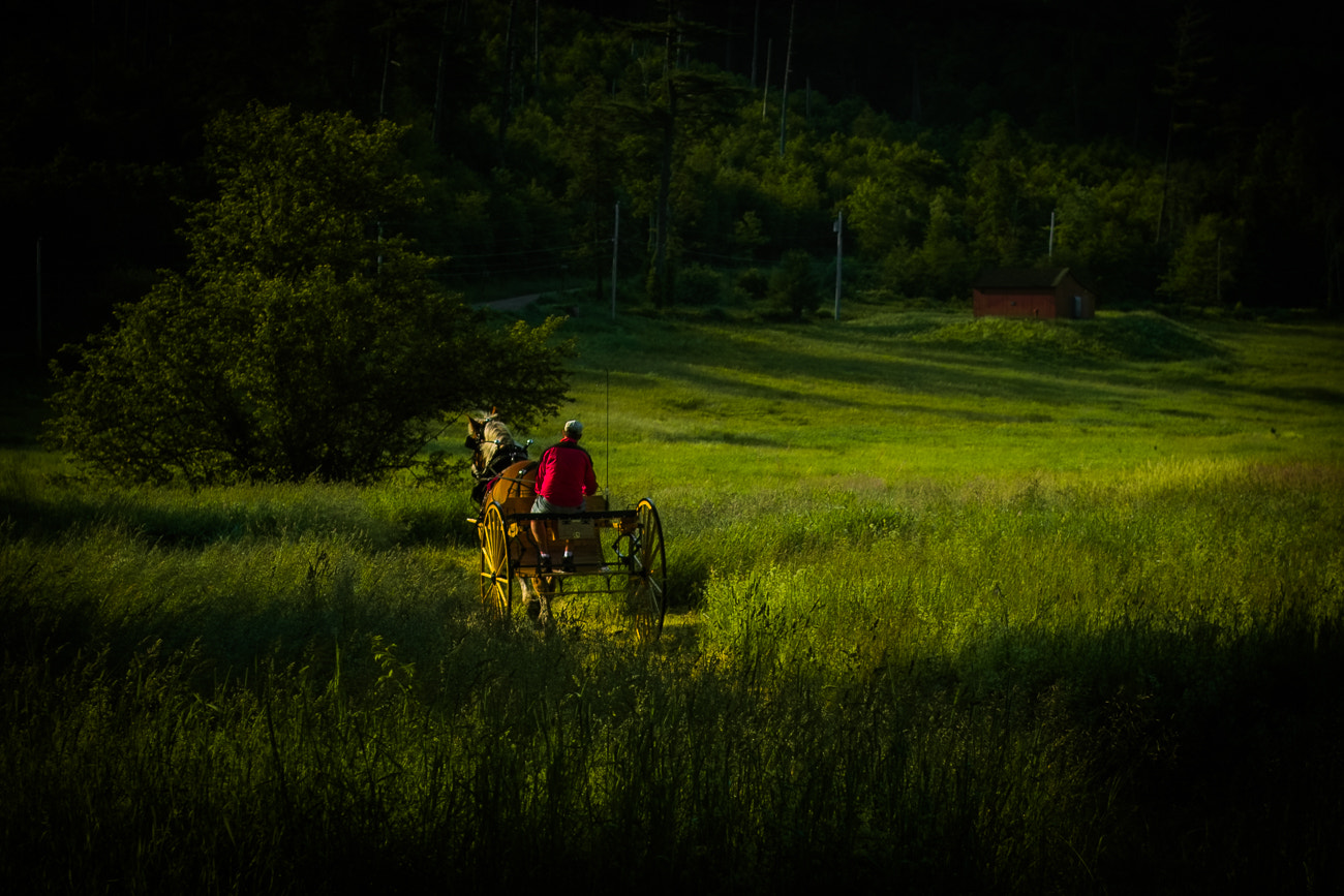 Sigma SD10 sample photo. Riding in the cornwall valley photography