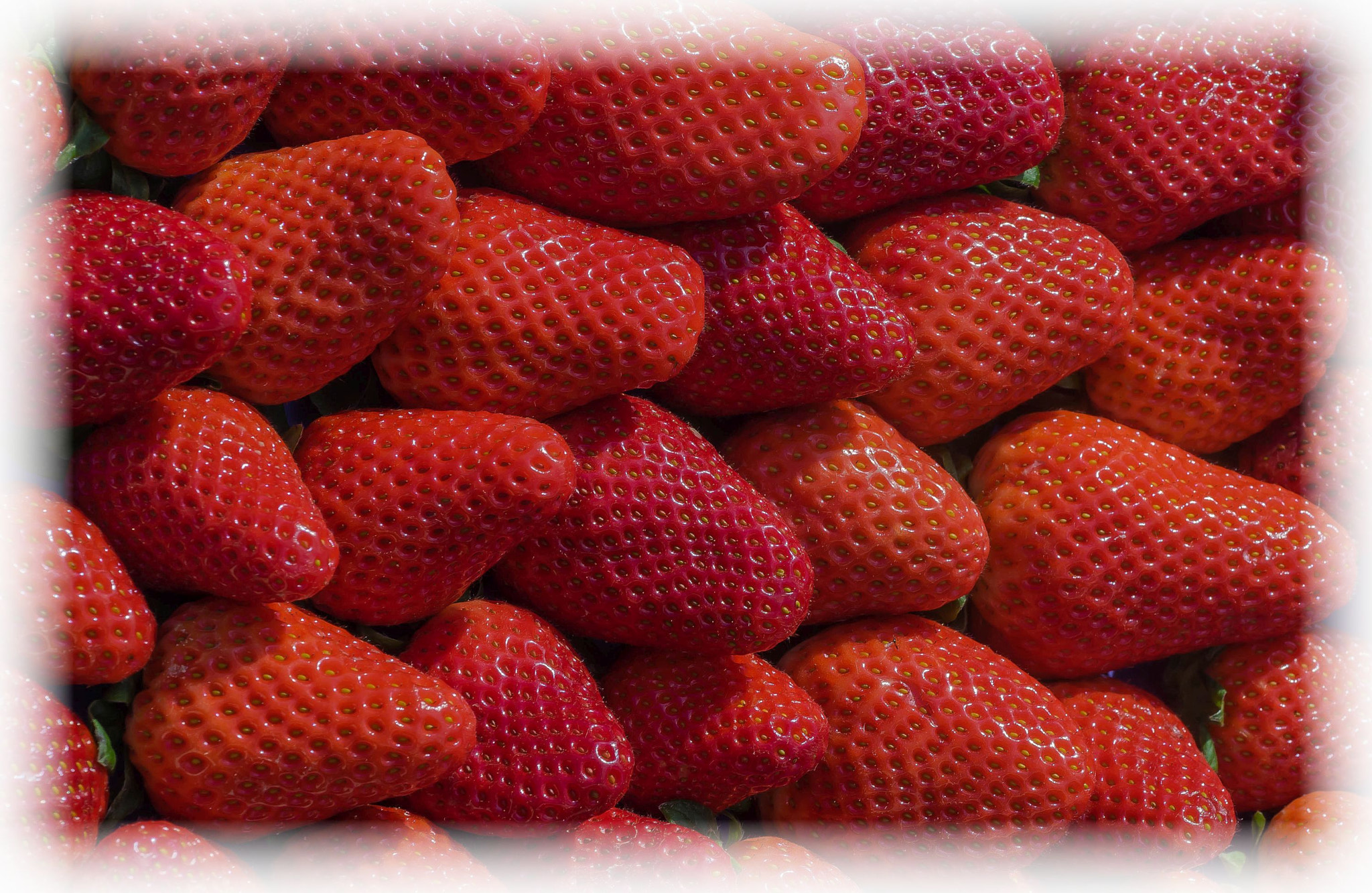 Sony a7R + Sony FE 90mm F2.8 Macro G OSS sample photo. Strawberries photography