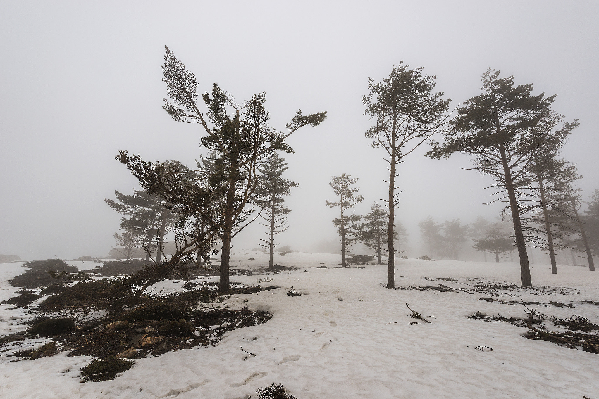 Nikon D800 sample photo. Calar alto ( almeria ) photography