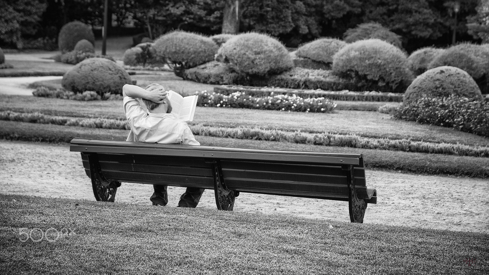 Sigma 17-70mm F2.8-4 DC Macro OS HSM | C sample photo. Atrapado por la lectura photography