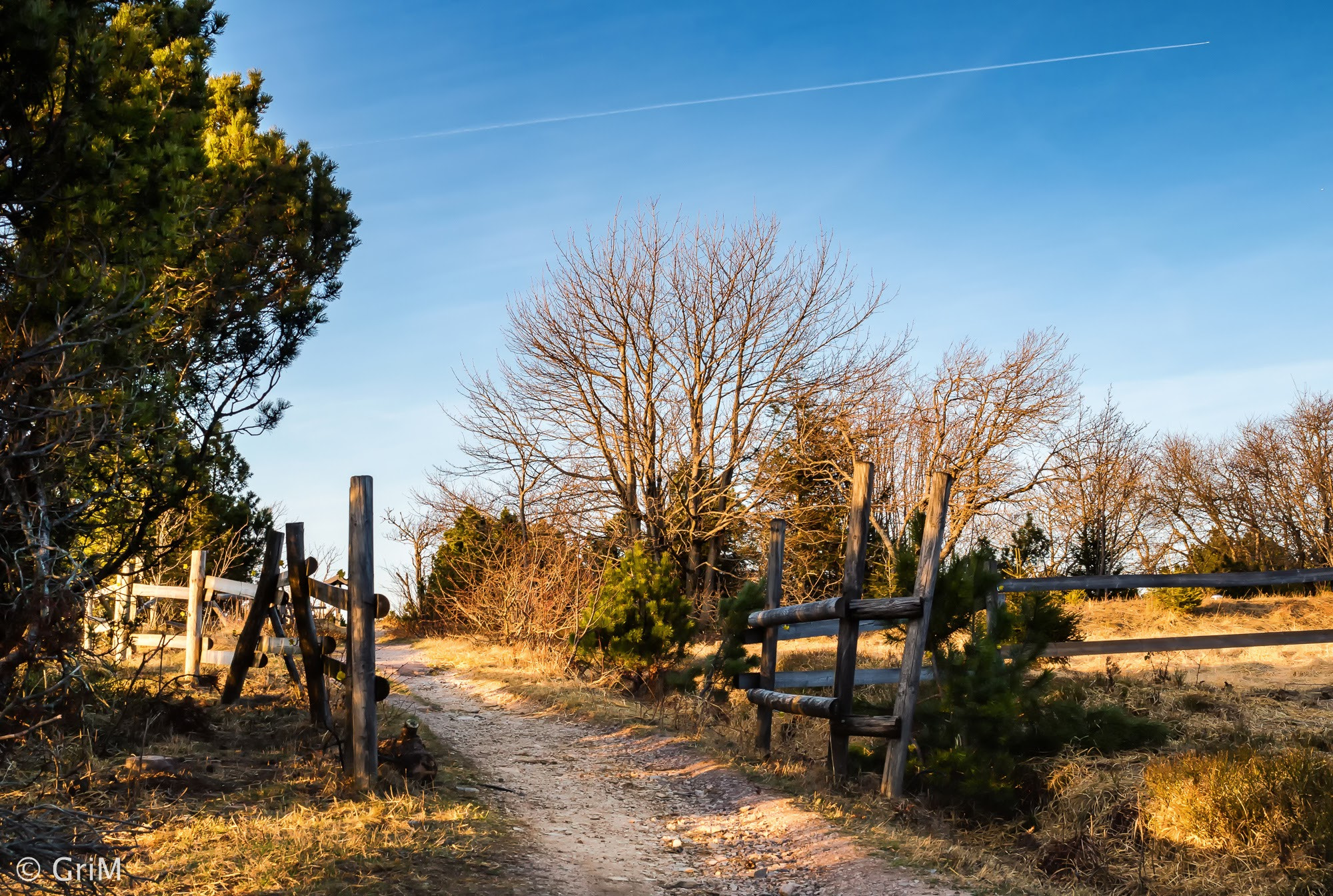 Olympus OM-D E-M5 II sample photo. Abendspaziergang photography