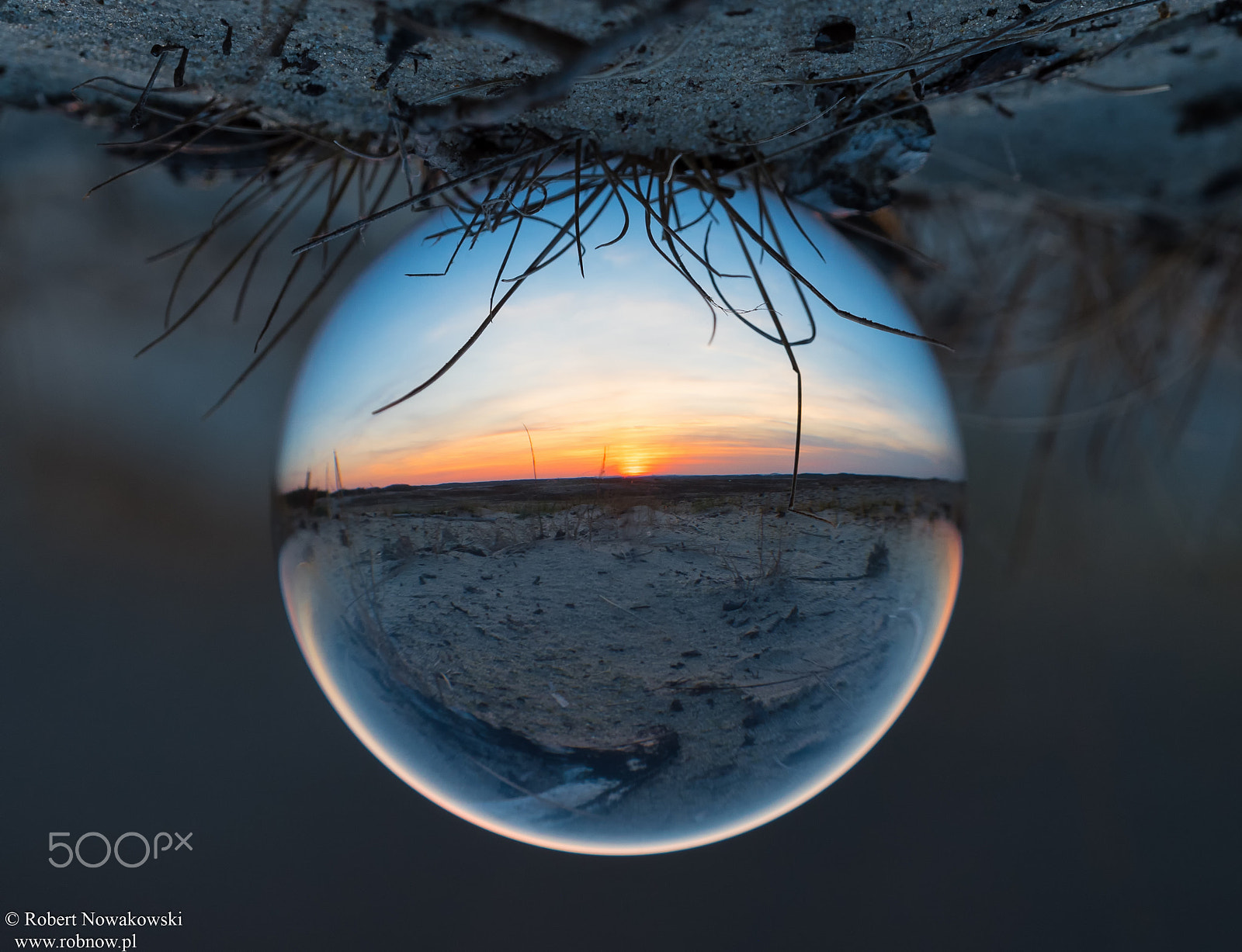 Nikon D750 sample photo. Wiosenny zachód słońca na pustyni błędowskiej ... photography