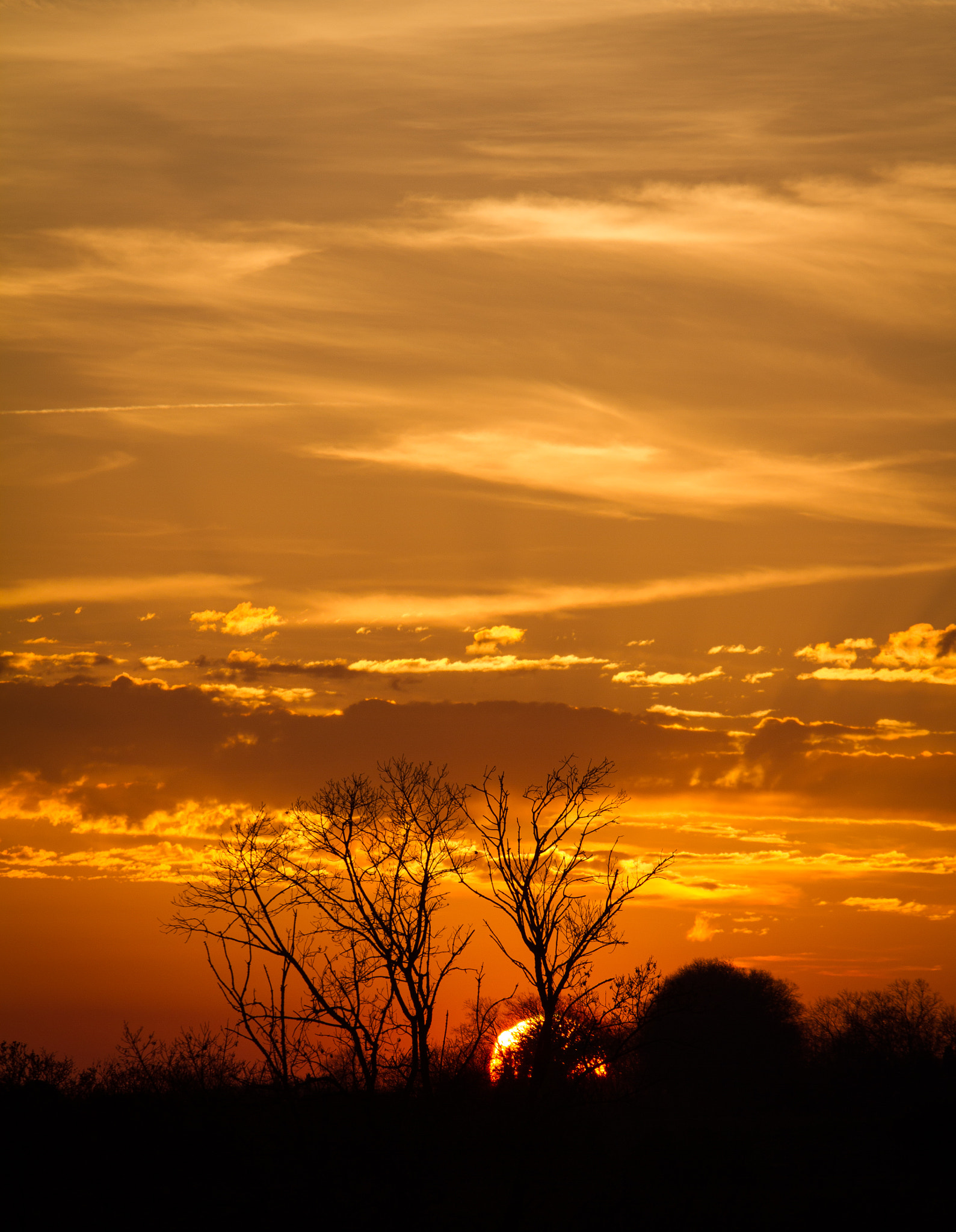 Canon EOS 7D + Canon EF 70-200mm F4L USM sample photo. Sunset photography