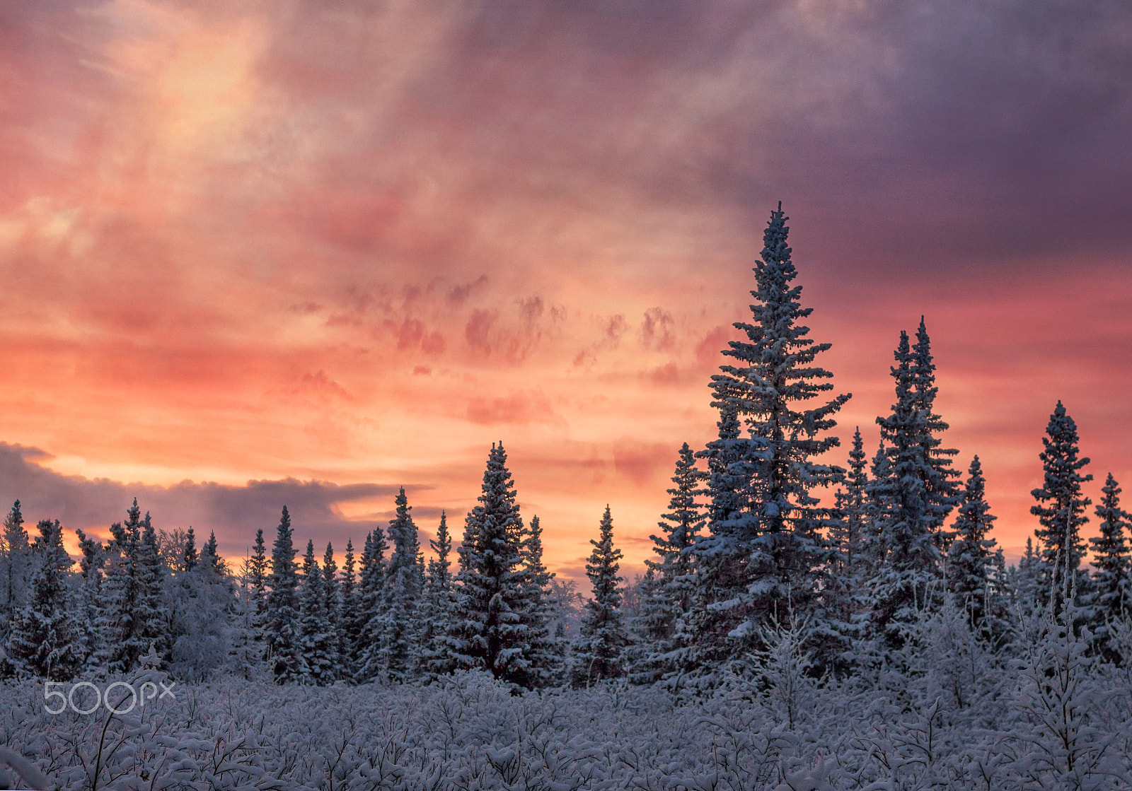 Canon EOS 50D + Canon EF 50mm F1.8 II sample photo. Winter sunset photography