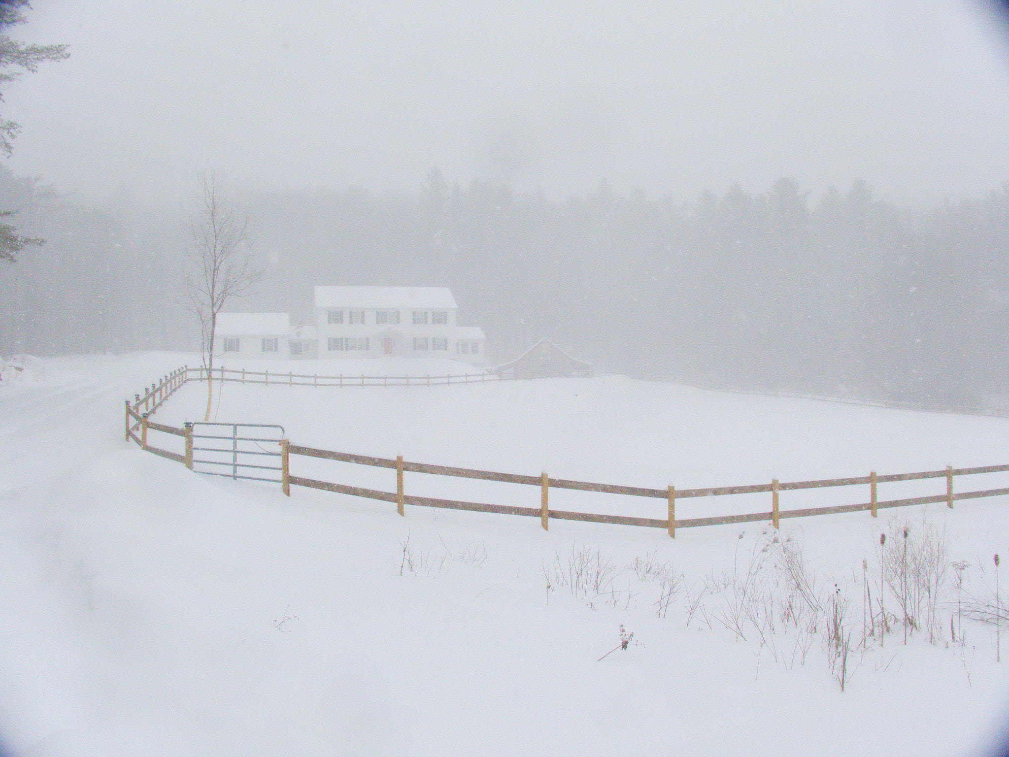 Olympus Stylus XZ-10 sample photo. Snowscape photography